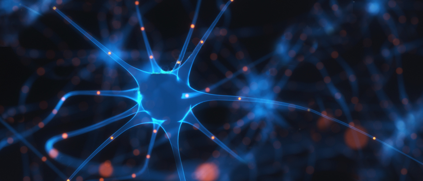 bci eeg facebook elonmusk security privacy