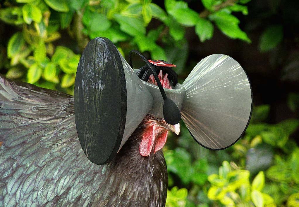 virtual reality free range livestock vr second livestock