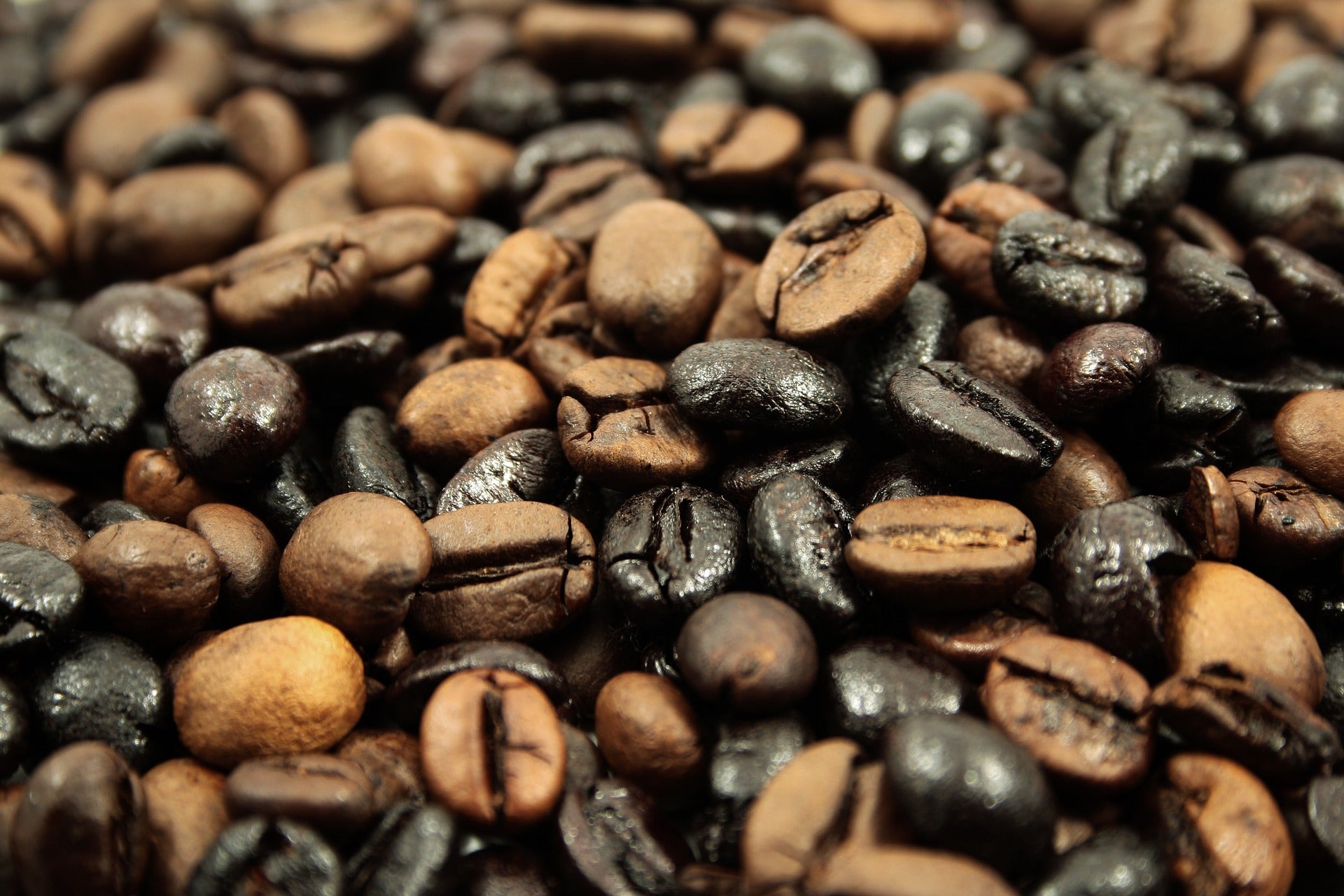 caffeine chronic pain sleep deprivation