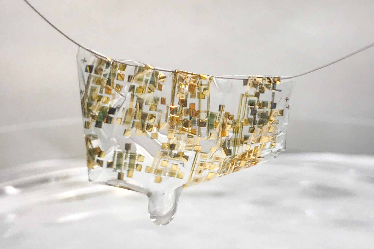 biodegradable wearable biodegradable electronics dissolving electronics electronic waste