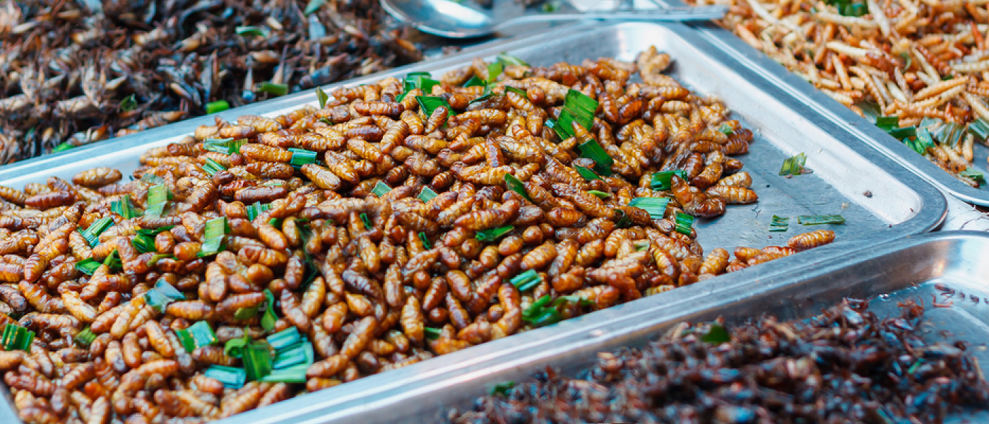 beef global warming insect farm u.n study