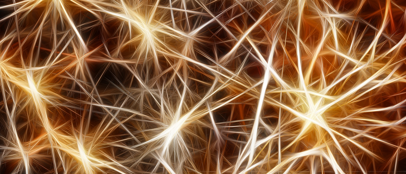 neurons ai adhd neural network