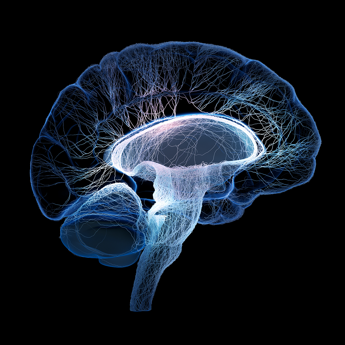 bci brain augmentation neuroscience