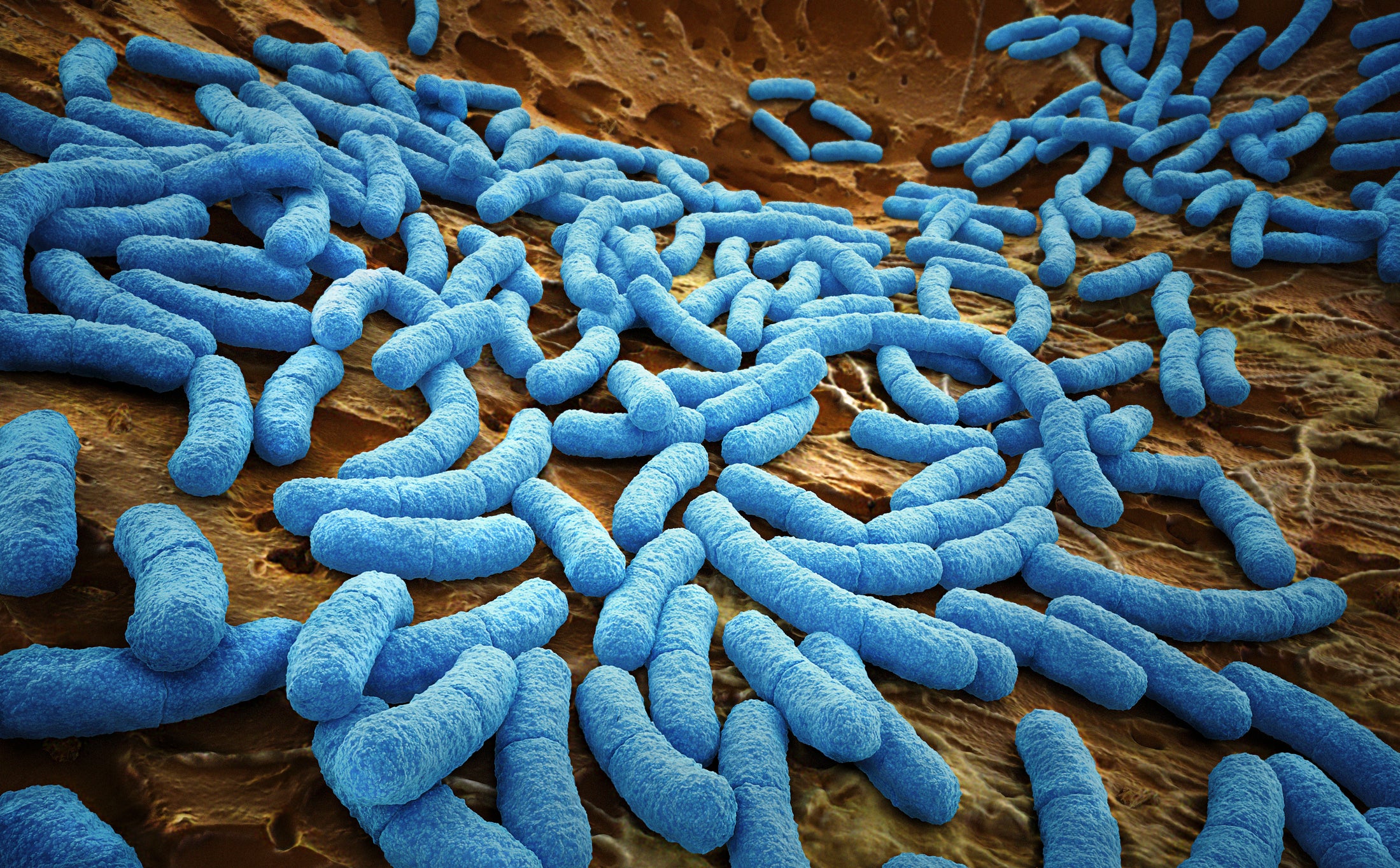 antibiotics antibiotic resistance infection research