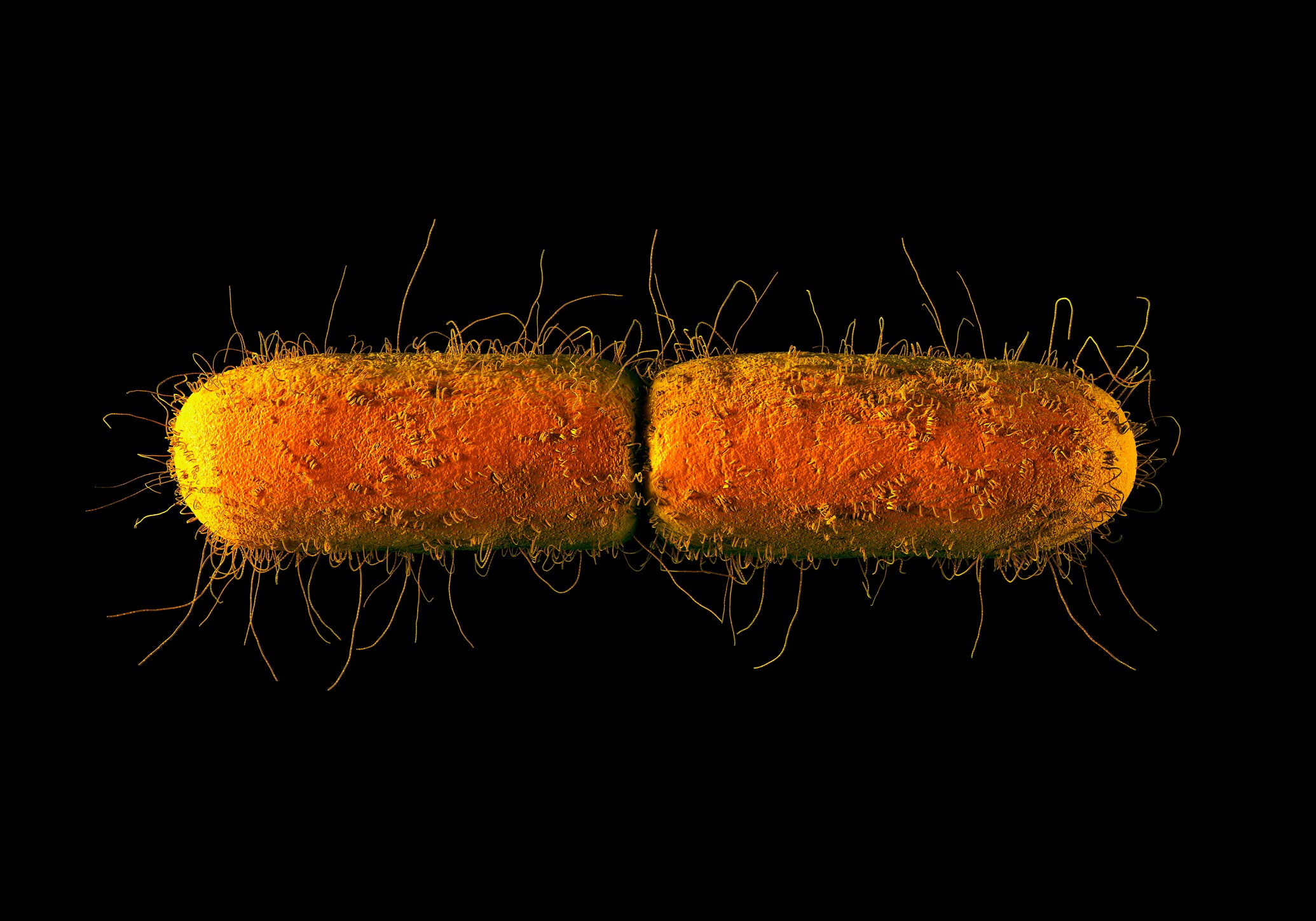 space bacteria mutation astronaut