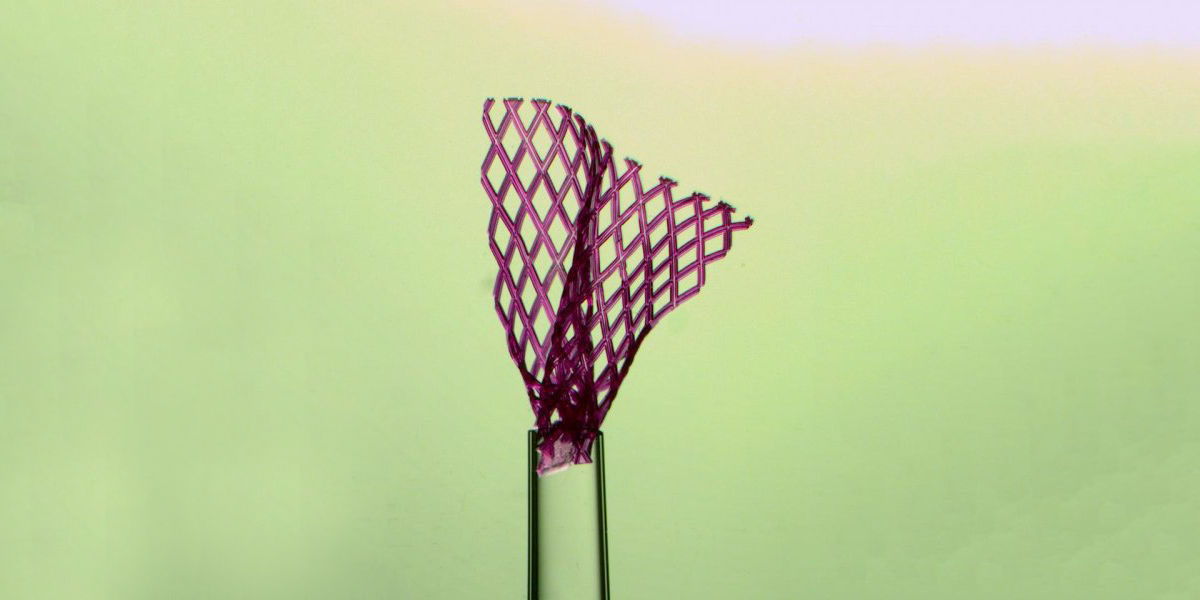 tissue engineering regenerative medicine heart problems cellular regeneration