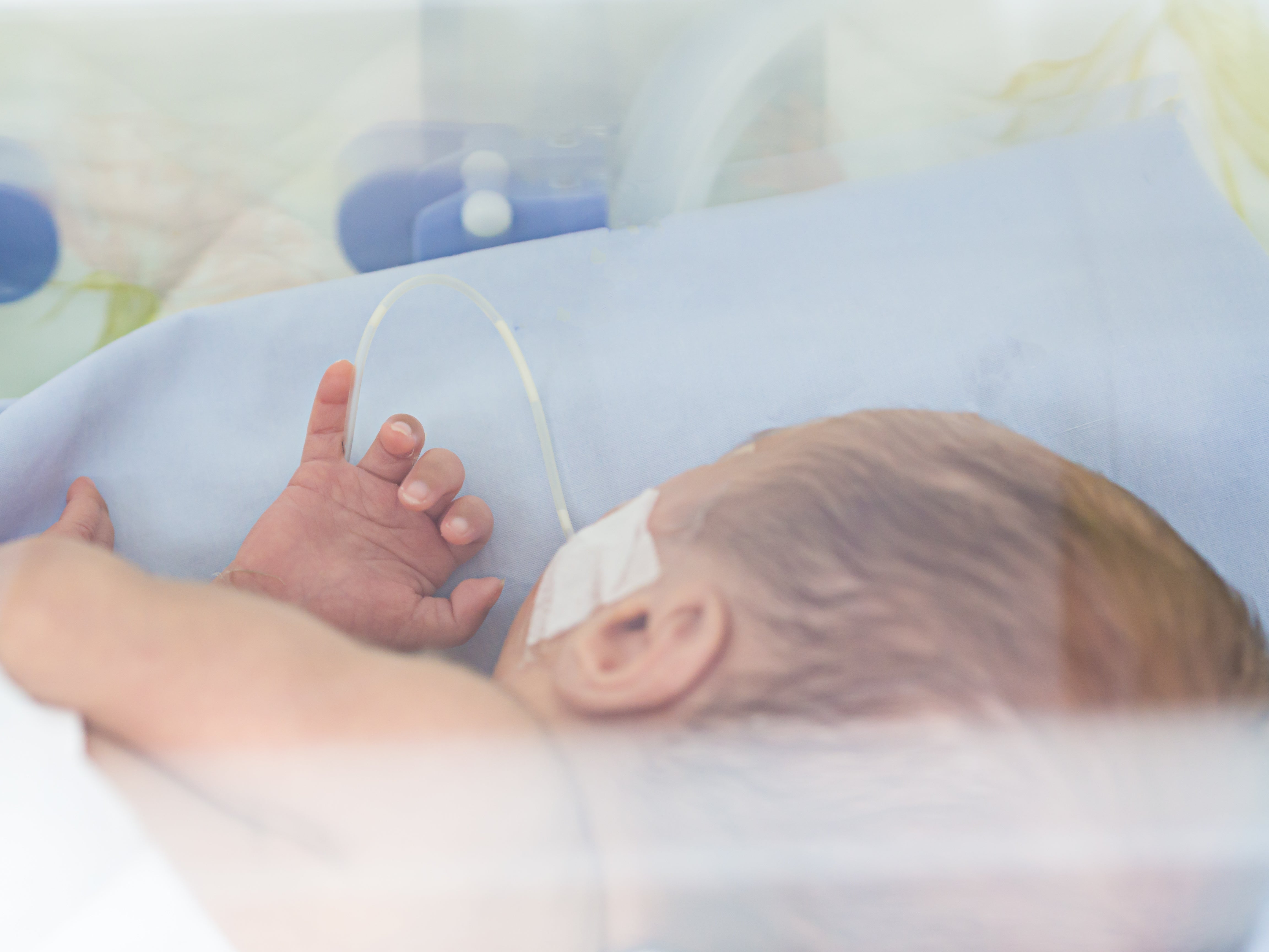 probiotic bacteria sepsis neonatal care blood infection