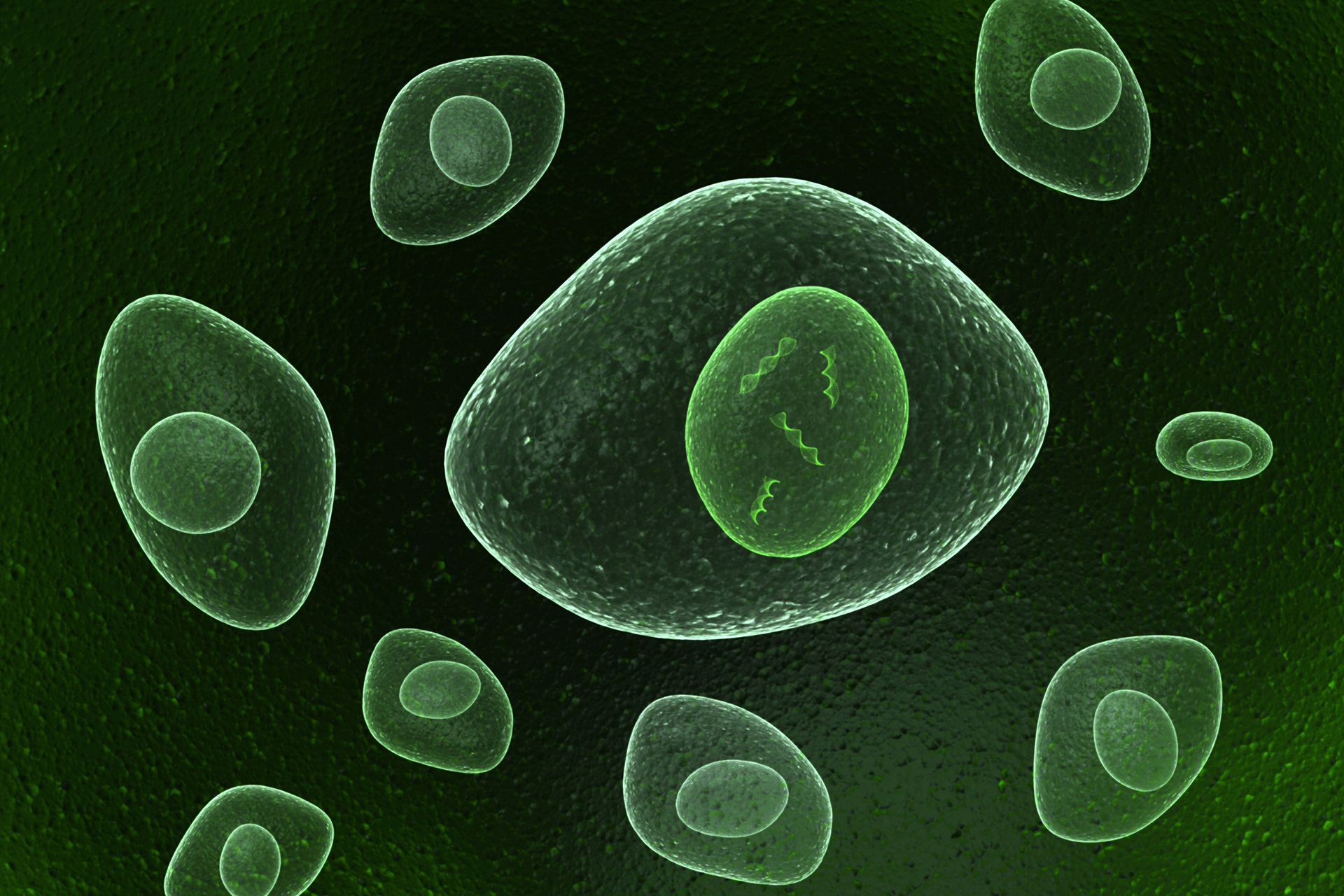 stem cells aging anti-aging research medicine