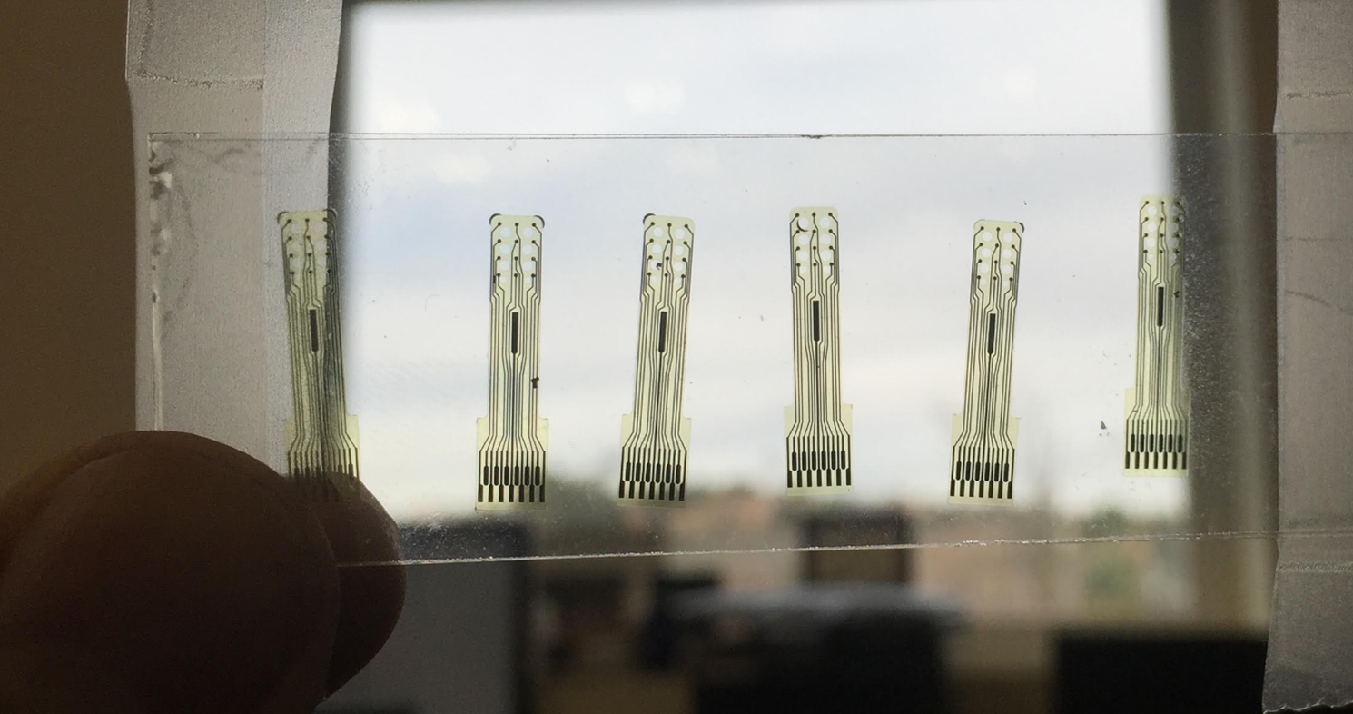 brain-computer interface spinal cord injury neural signal processing