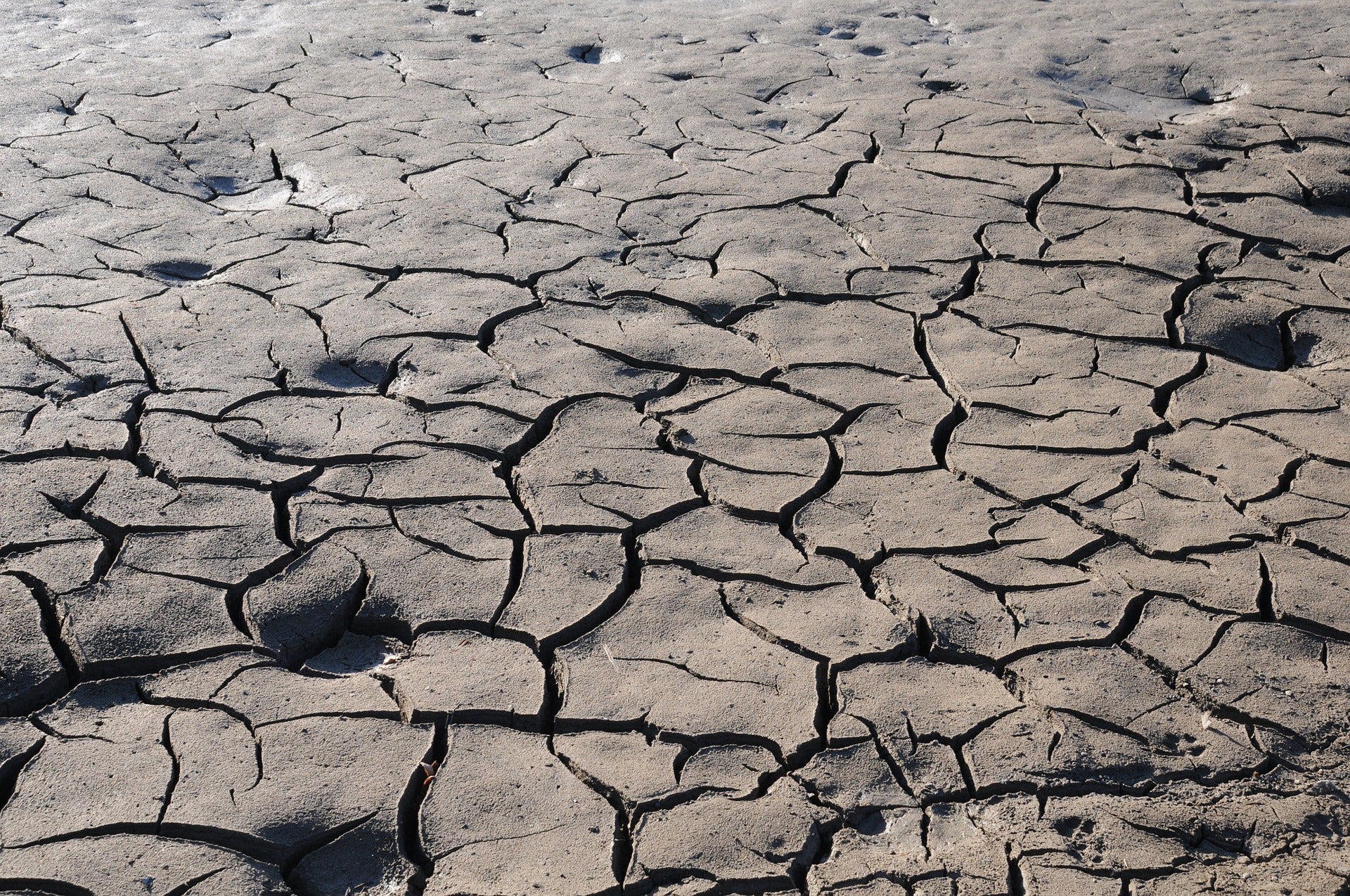 climate change denial usda censorship