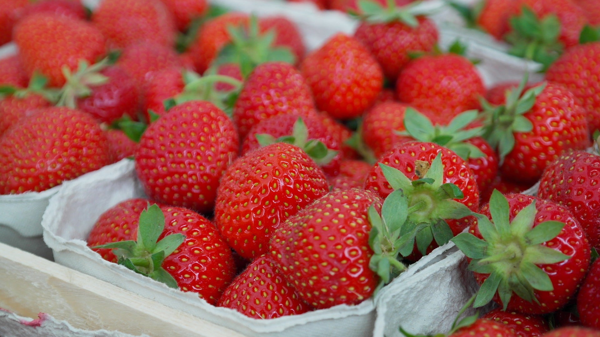 food science sensors