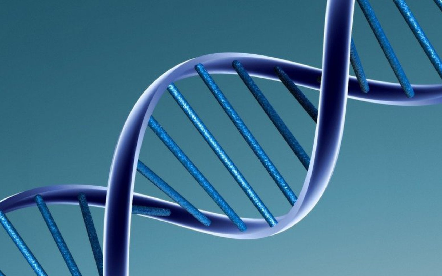 personalized medicine general-purpose dna robot tiny robot nanobot