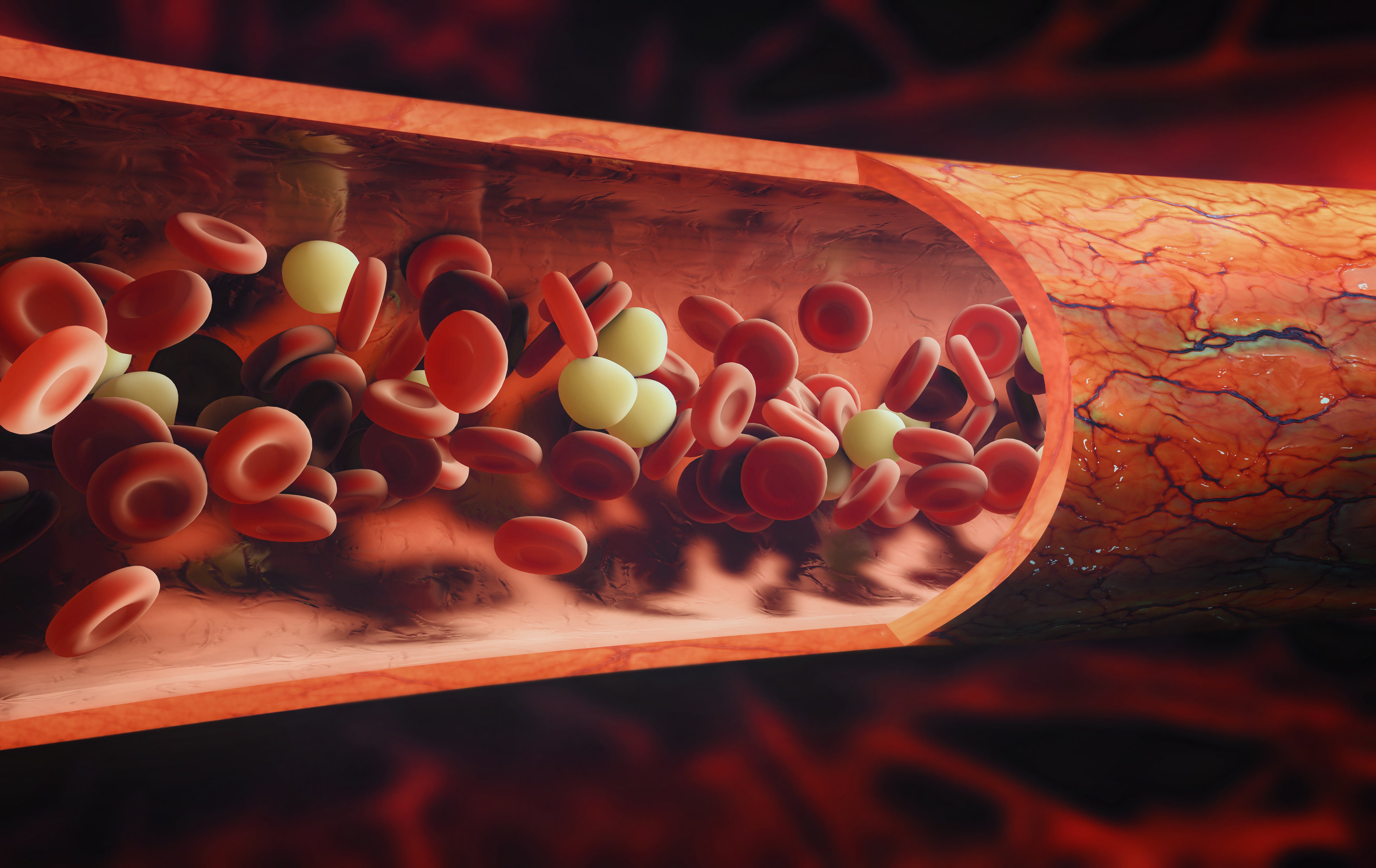cmyc test troponin test heart attack blood test