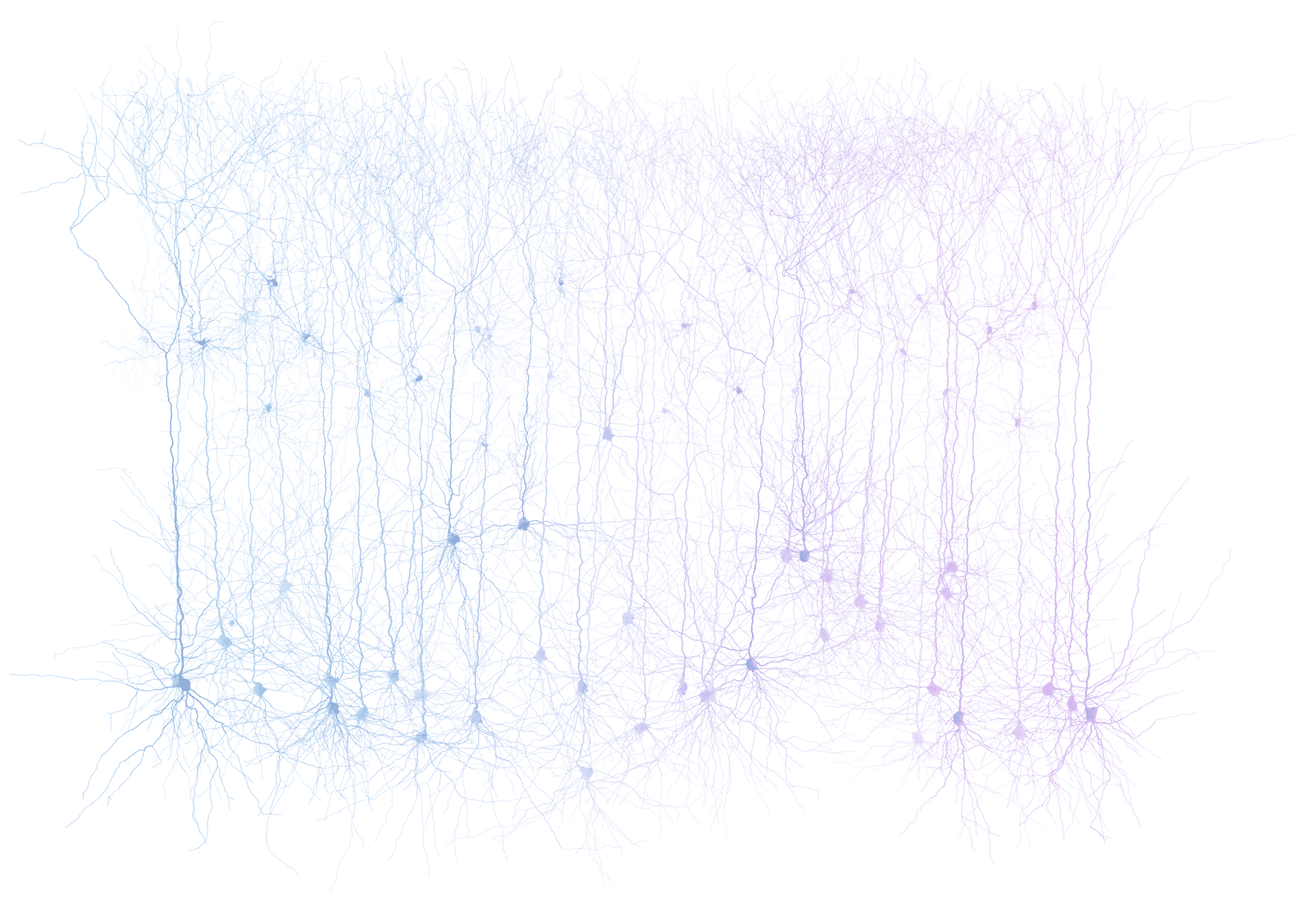 brain-computer interface artificial intelligence collaboration