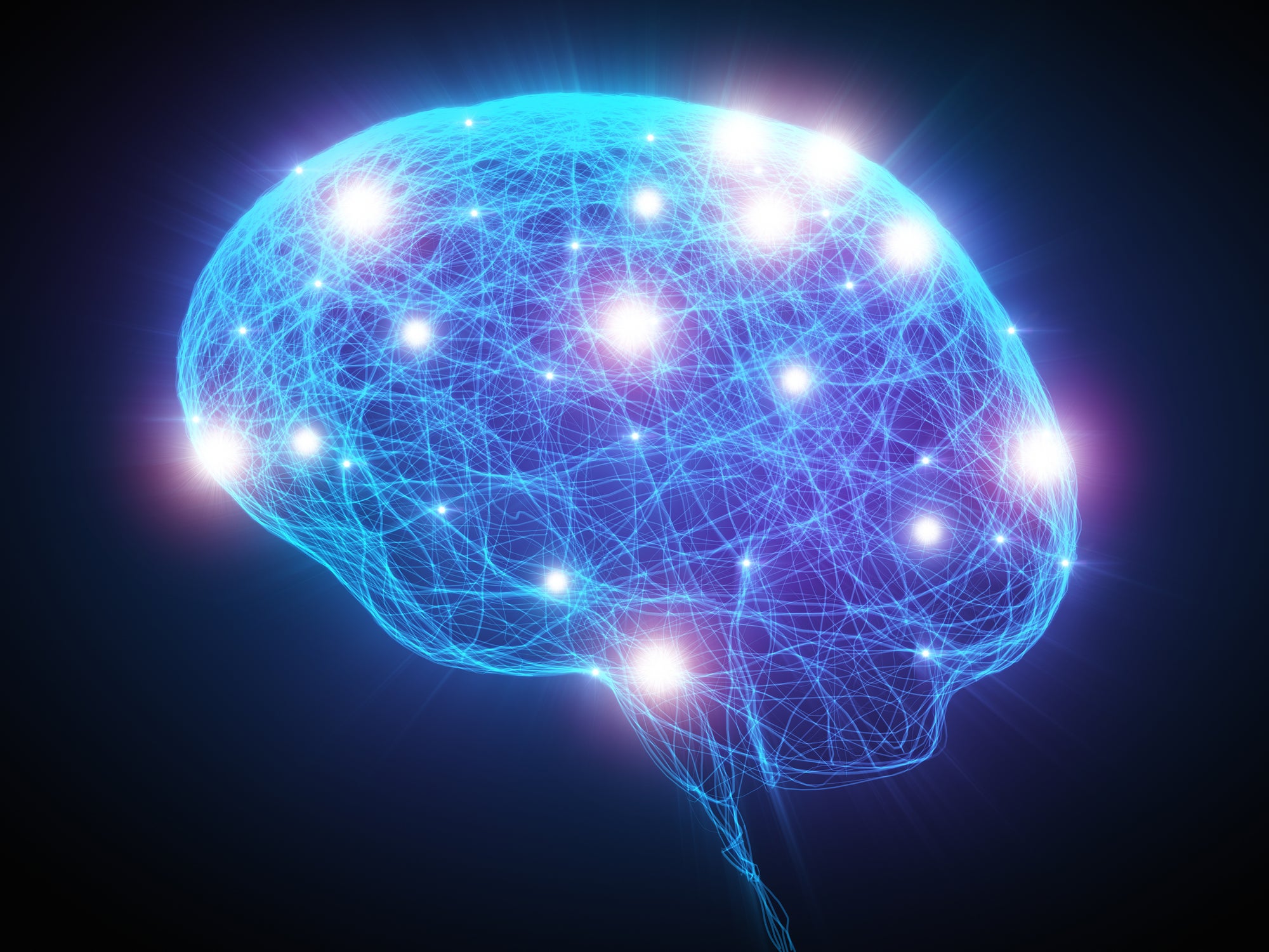 human senses supramodality metacognition
