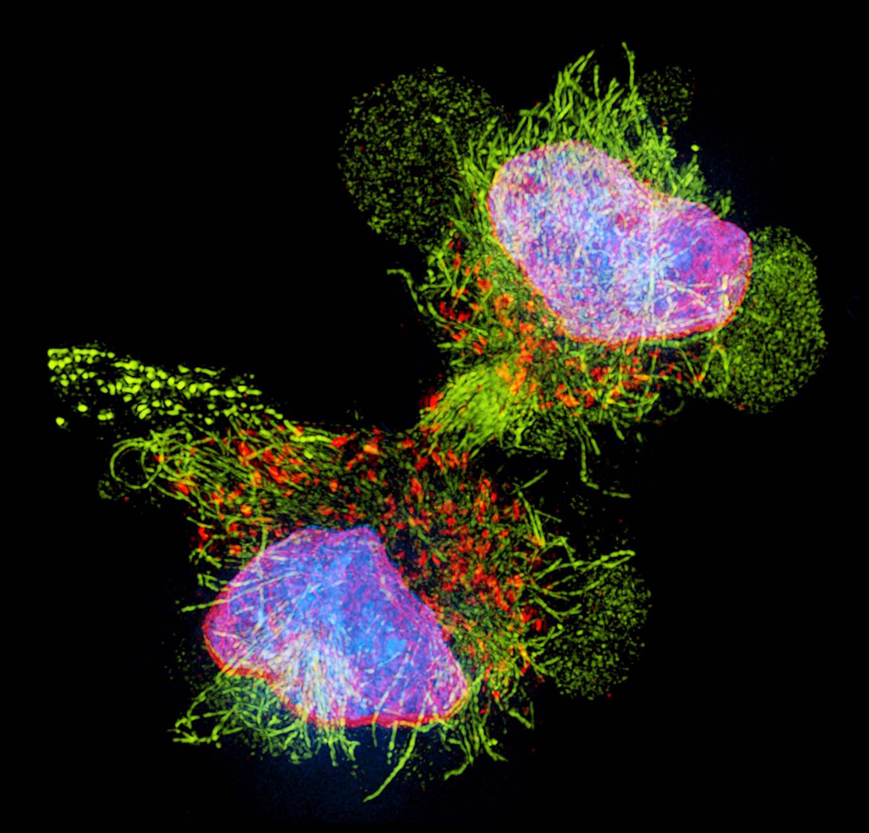 origin of life rna ligation complex life evolution