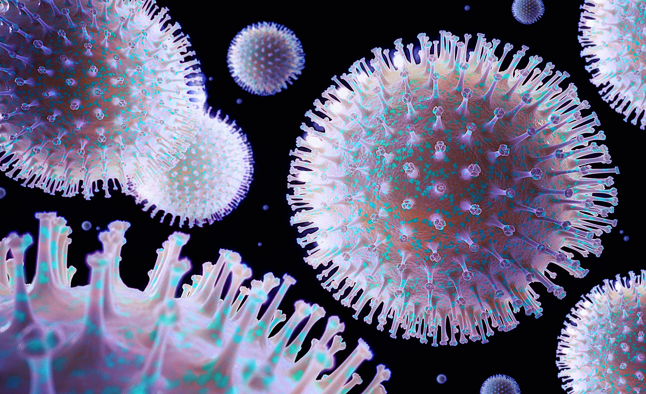 influenza peptides broadly neutralizing antibodies flu