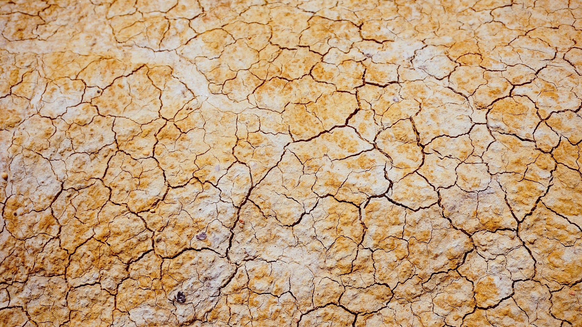 climate change global warming peer review