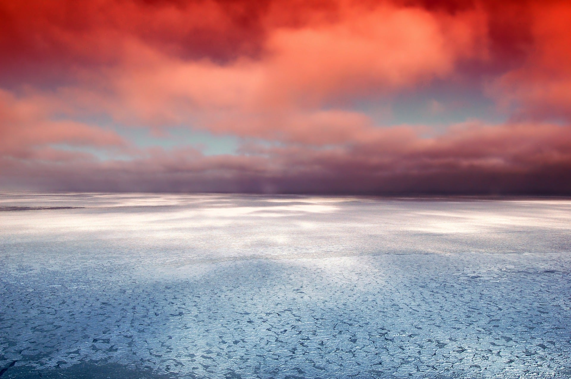 mass extinction climate change carbon dioxide gas emissions