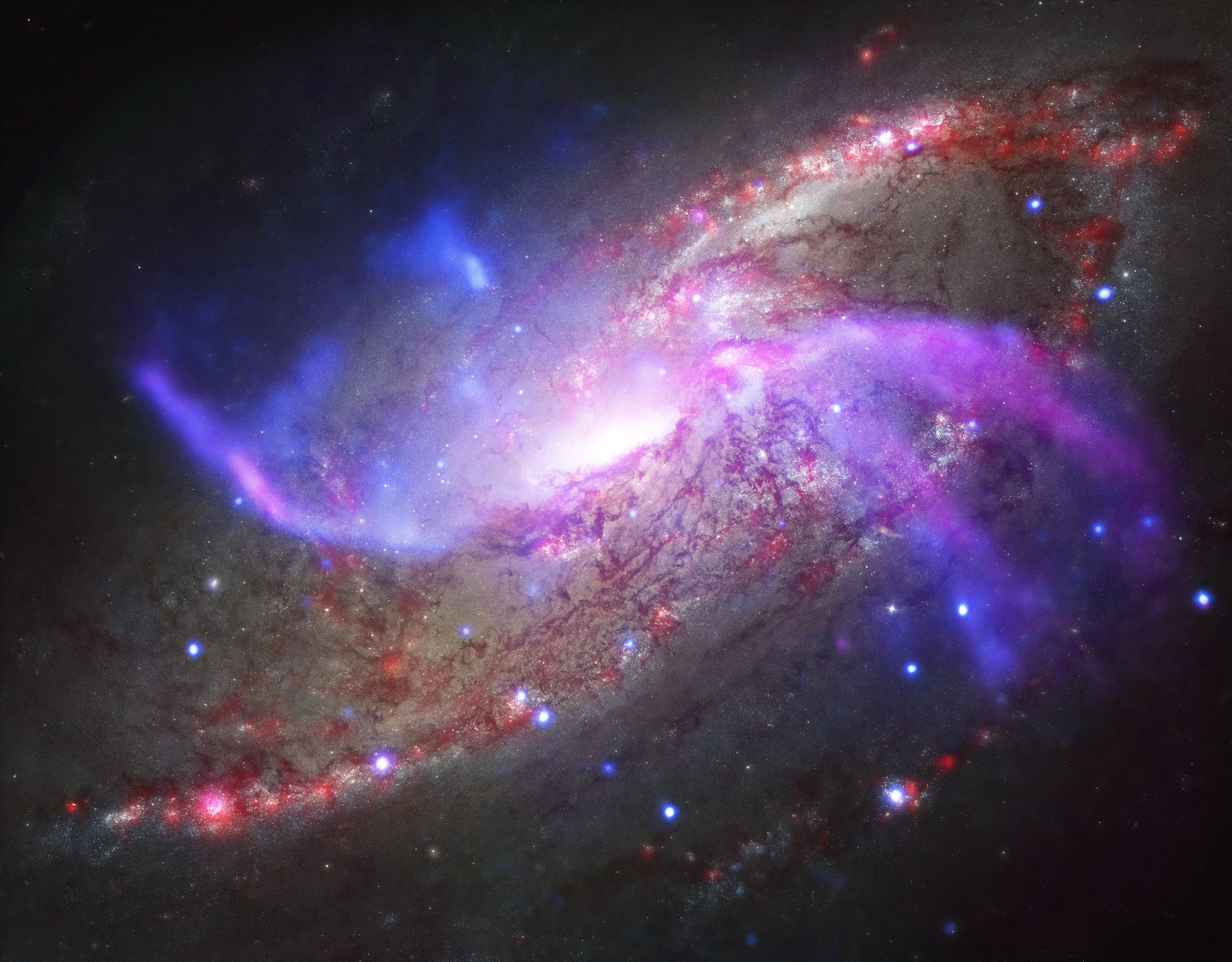 white dwarf stars extreme gravity cosmology fundamental laws of physics