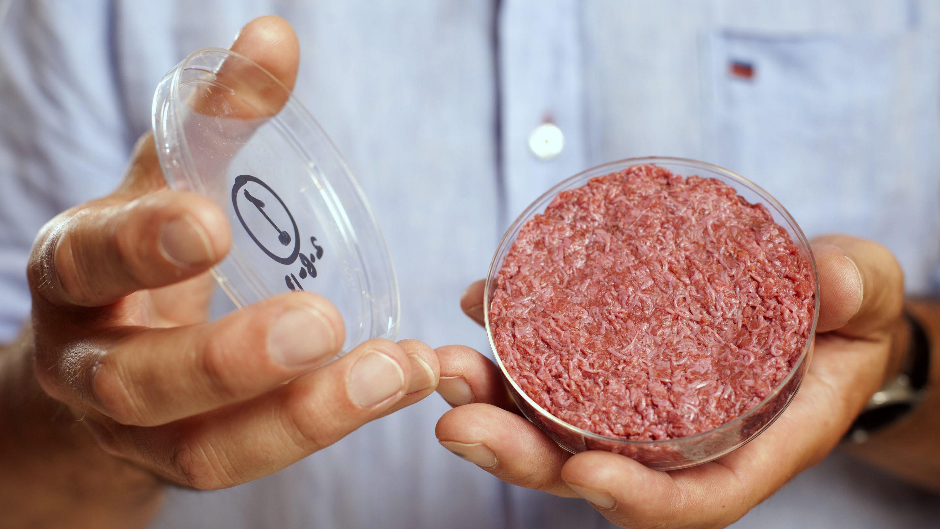 animal-free meat lab-grown meat cruelty-free meat sustainable food world hunger