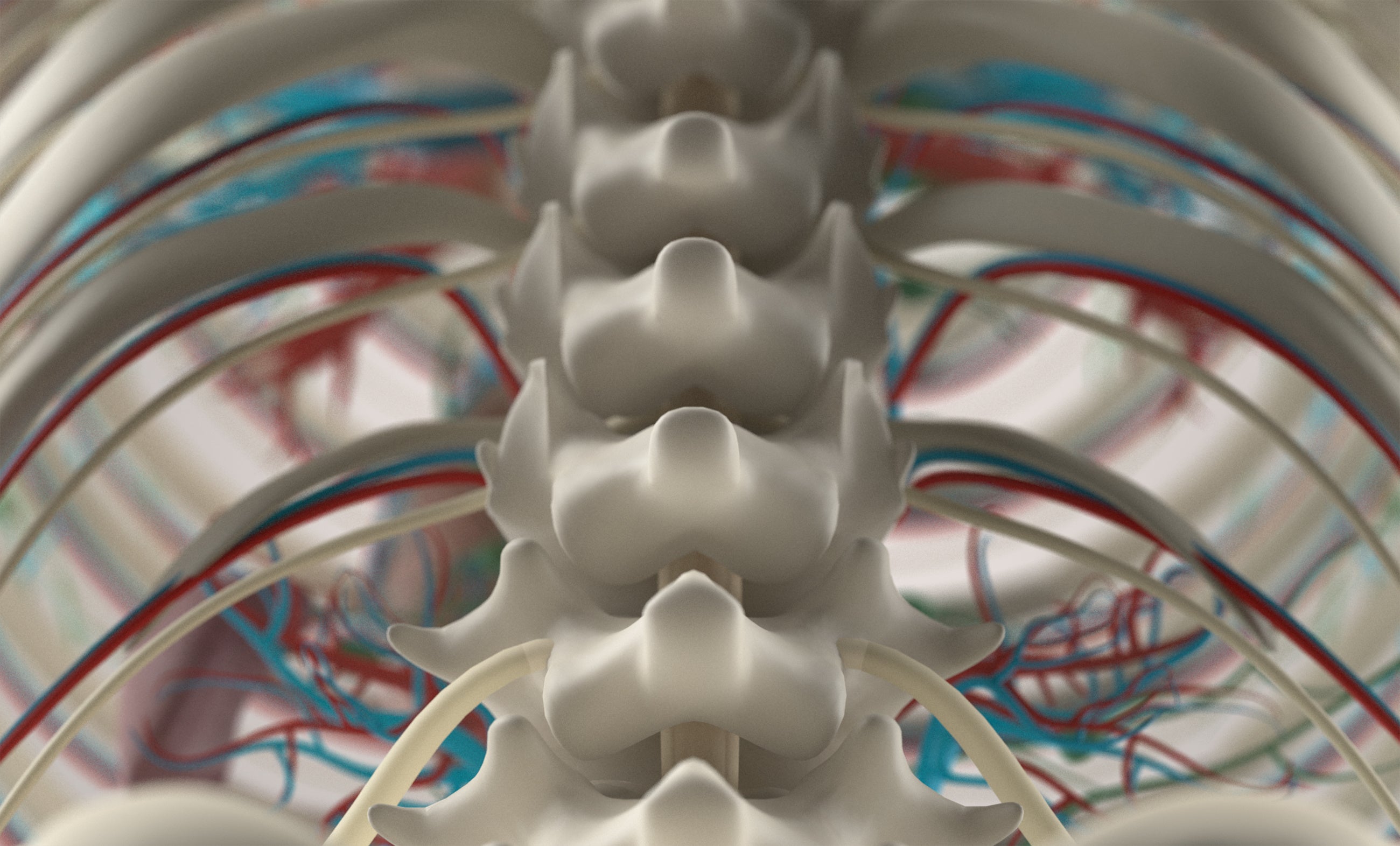 spinal chord injury paralysis cell therapy motor function treatment