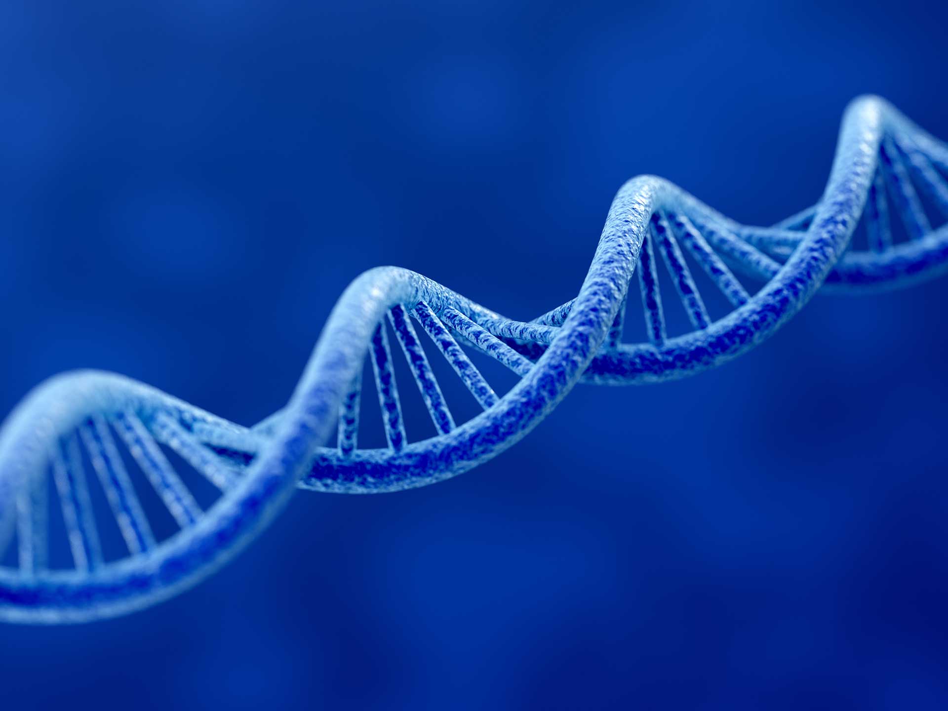 materials from DNA