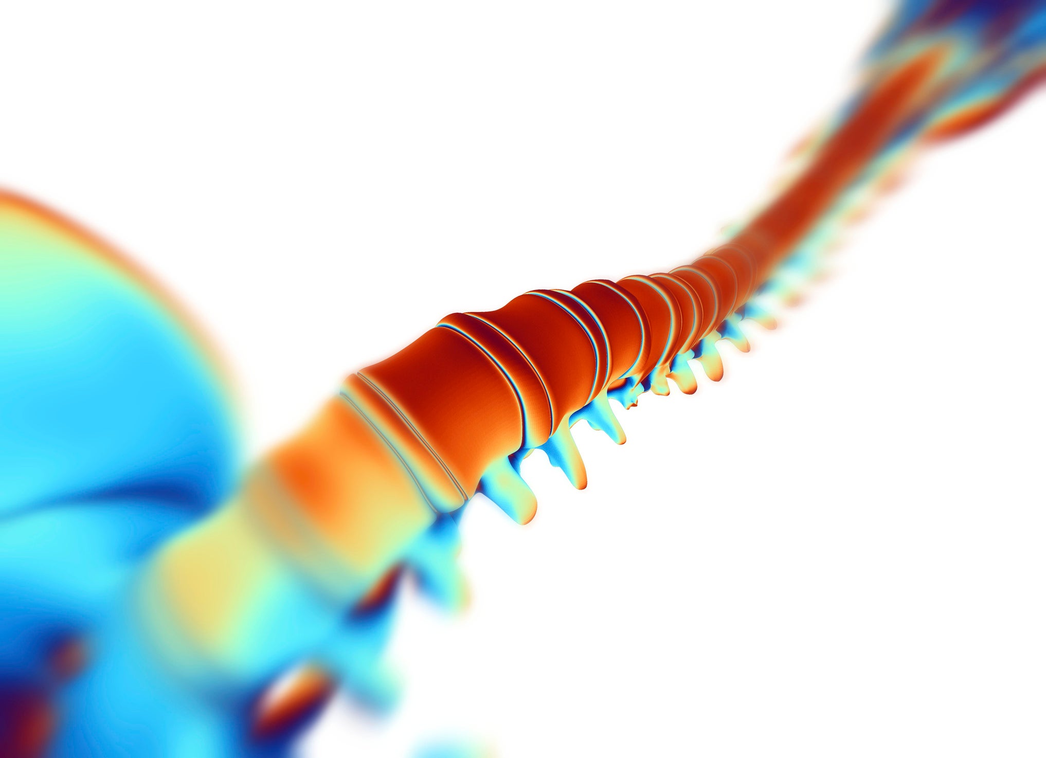 spinal cord injury regenerative medicine