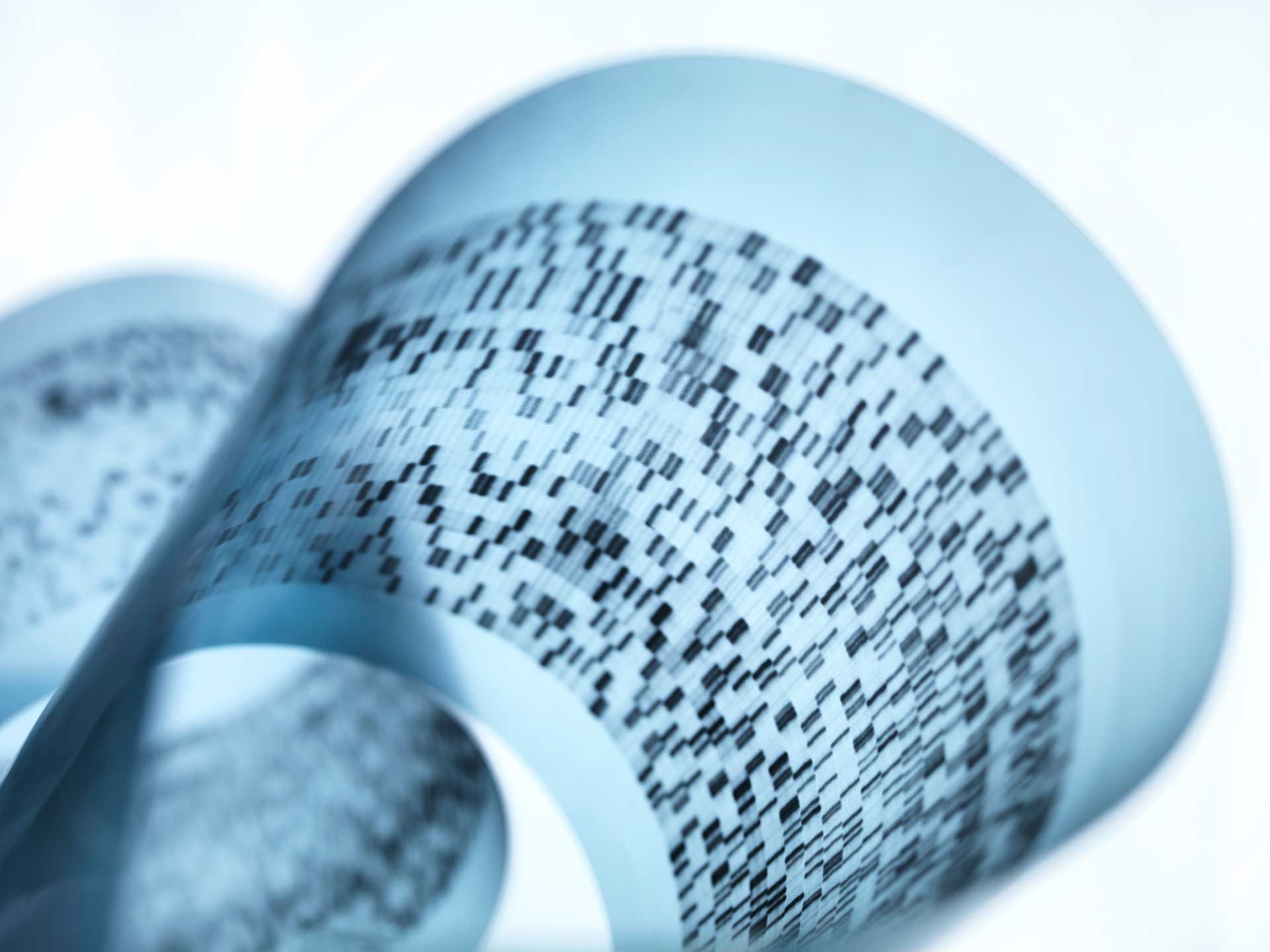 crispr human genome rna dna