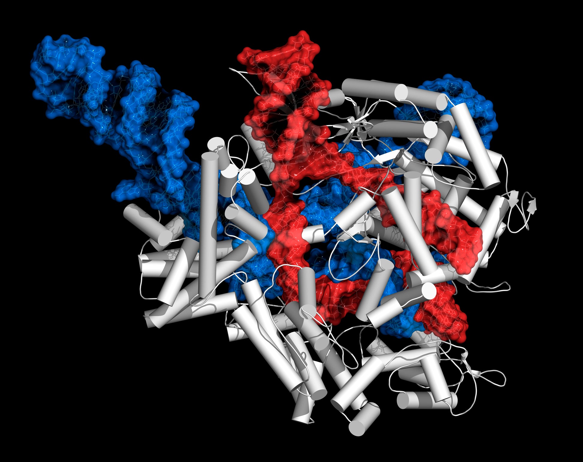 crispr crispr gene editing crispr/cas9 gene editing tool