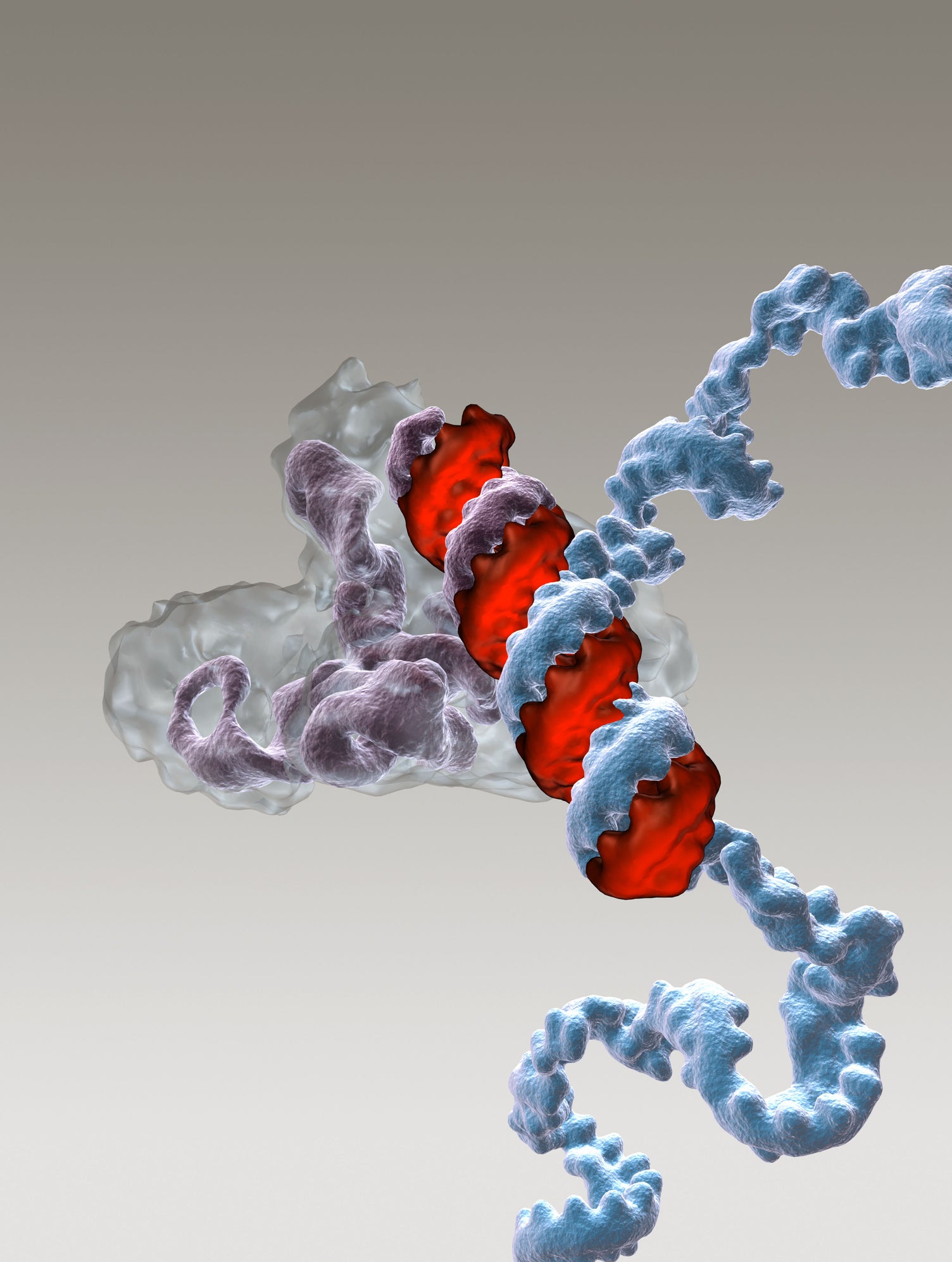 epigenetic memory genetics gene editing dna