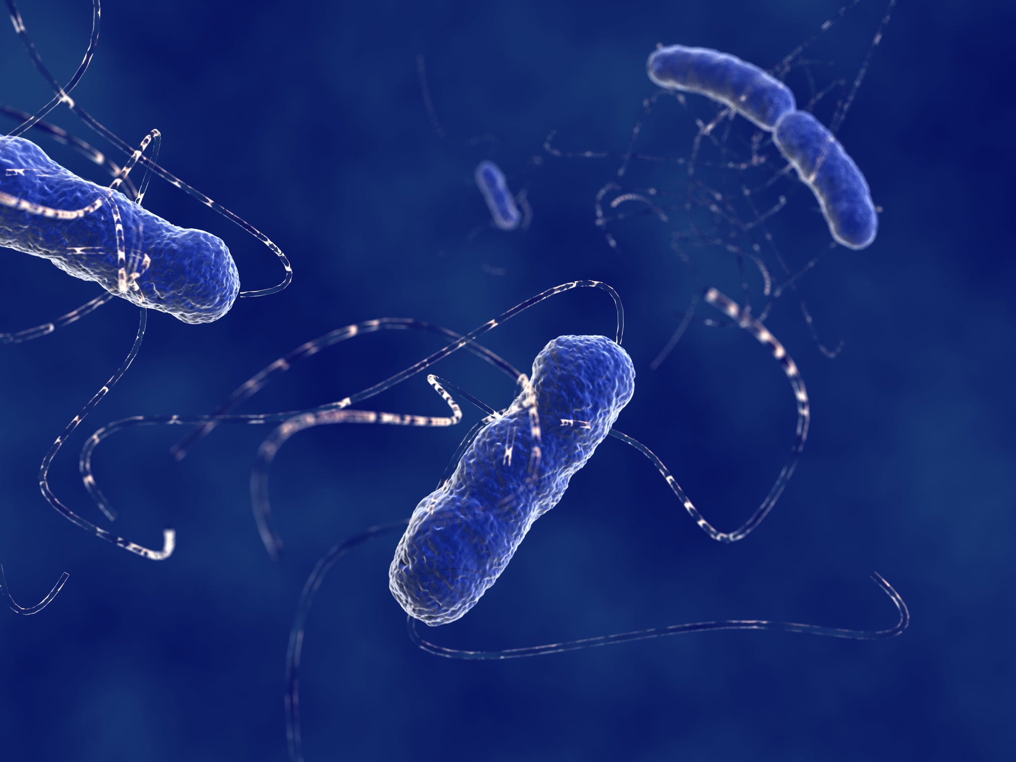 crispr bacteria dna