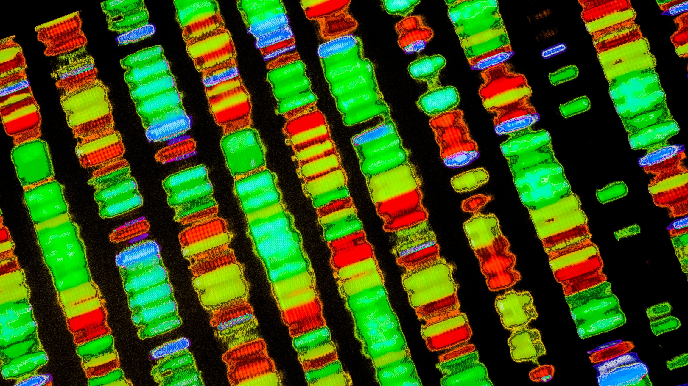 dna sequencing human genome