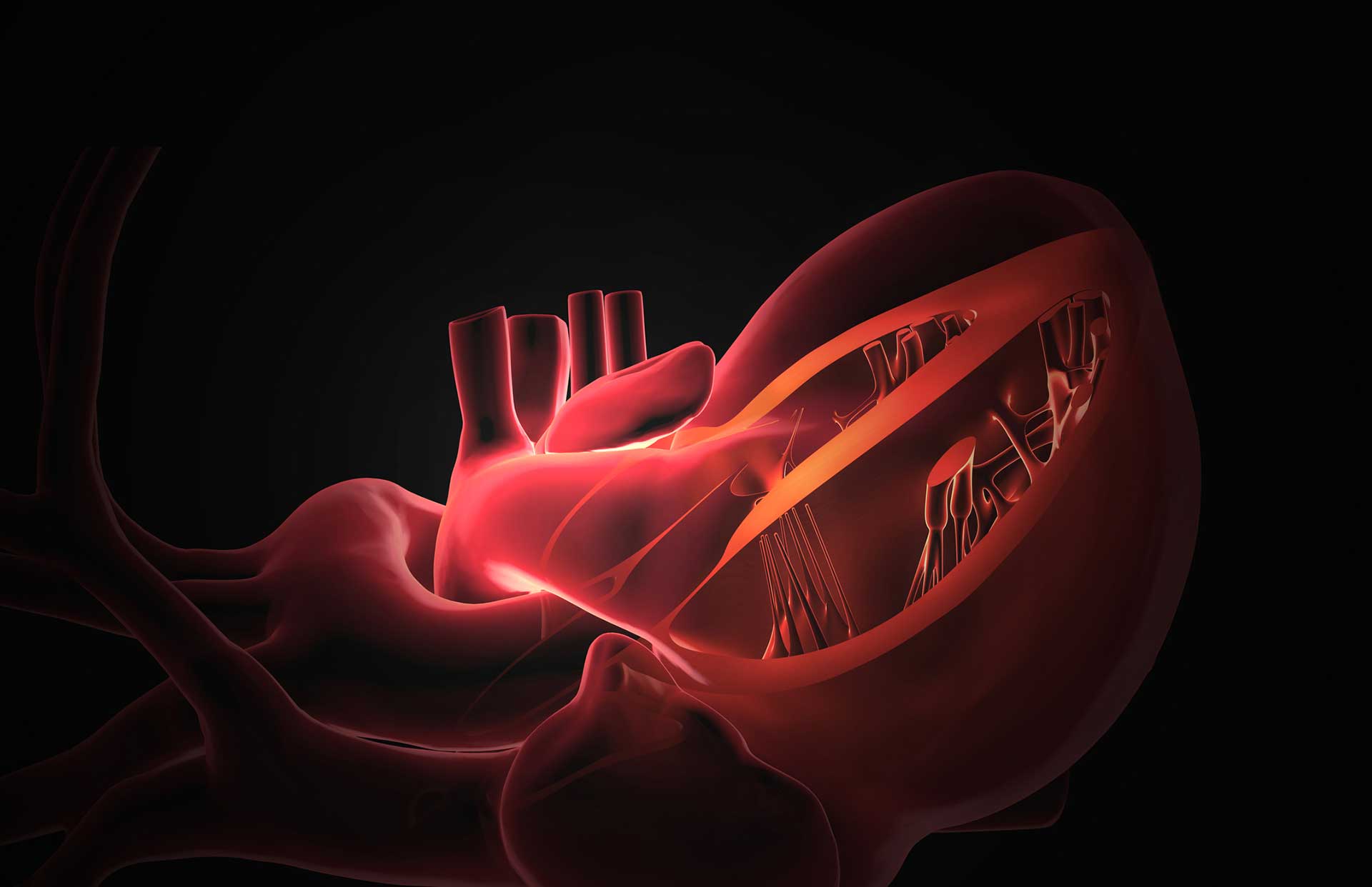 heart surgery minimally invasive surgery future of medicine