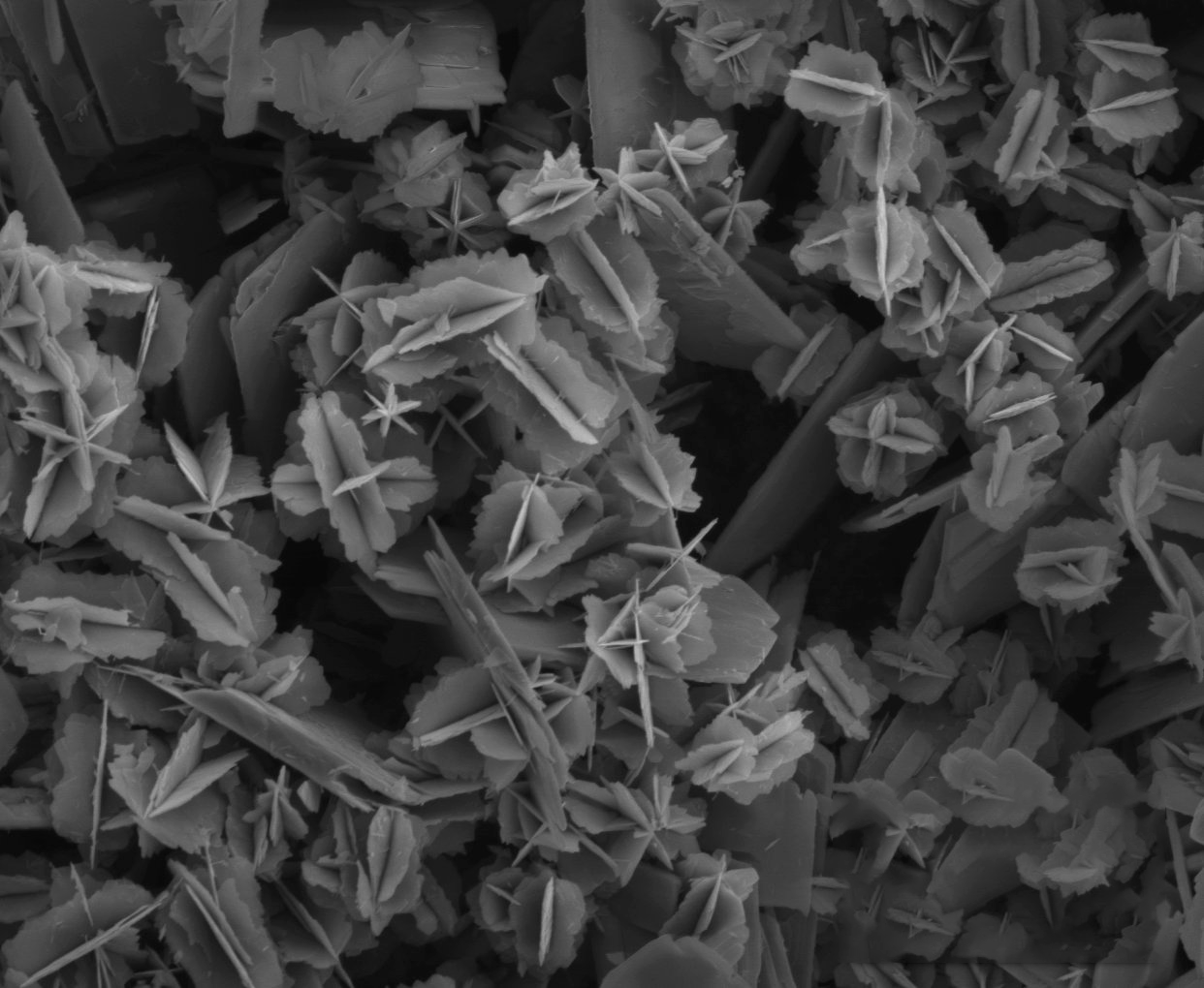 vanadium dioxide metals wiedemann-franz law conductor