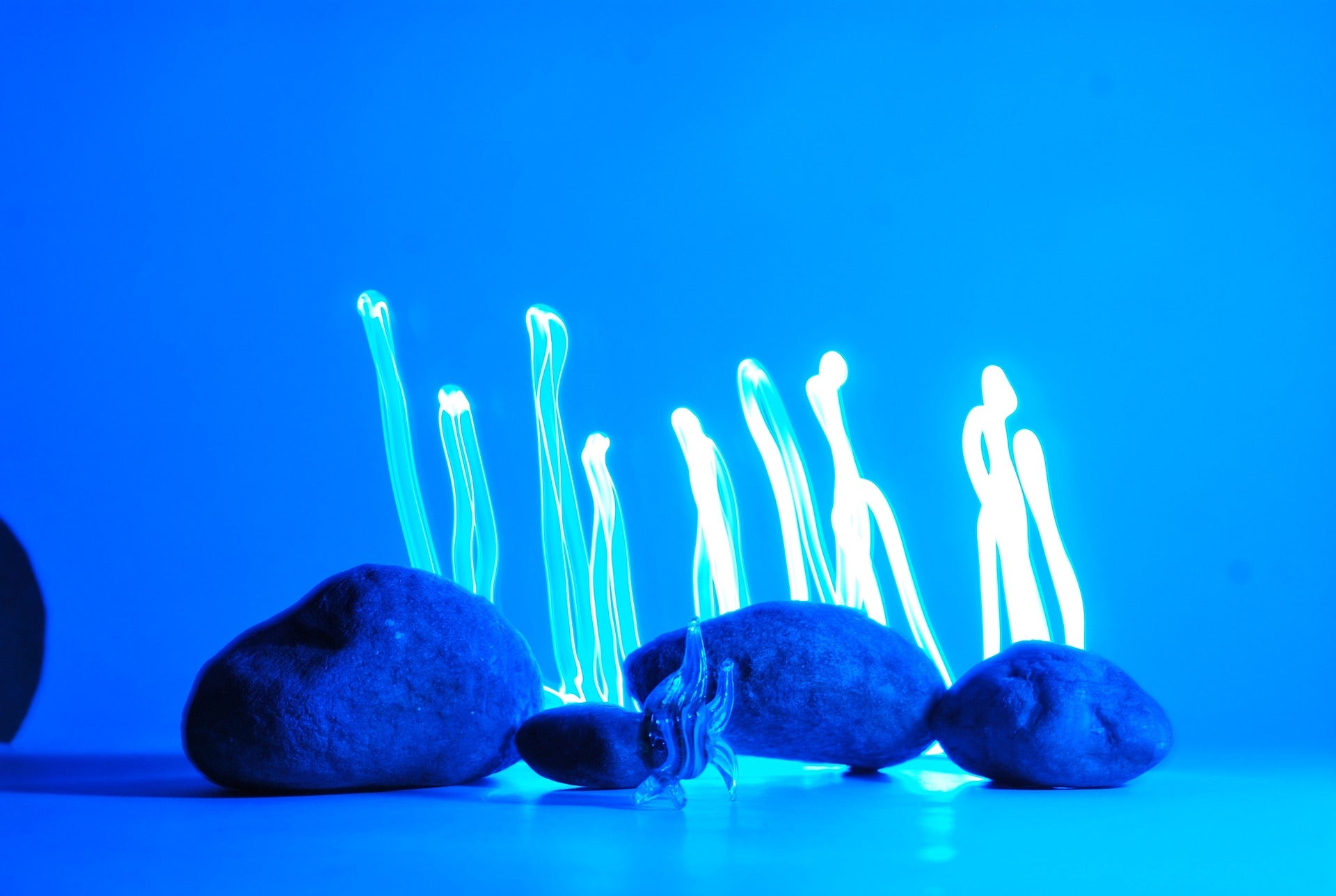 Microbots created from algae could help in medical procedures.