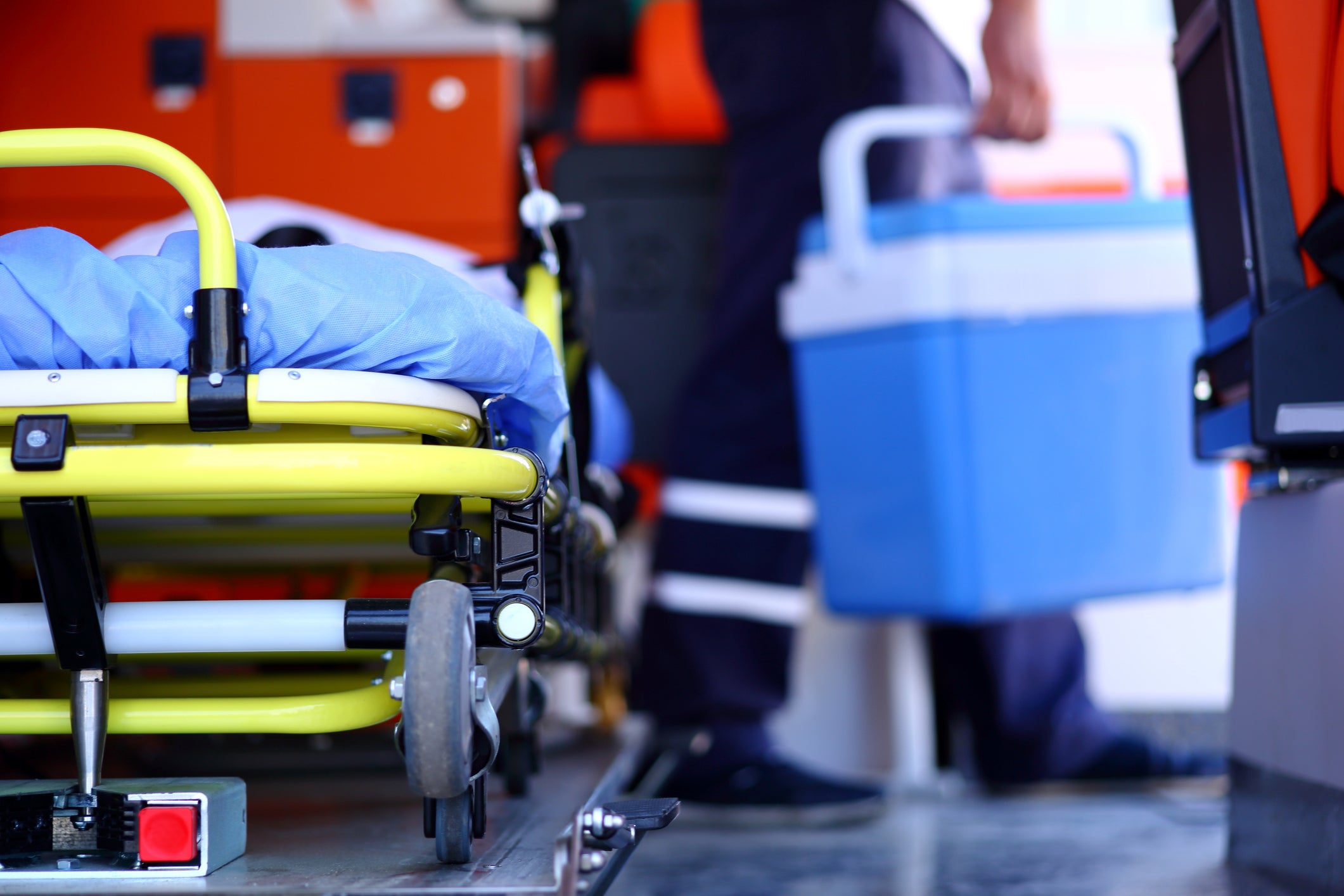 kidney organ donor organ transplant