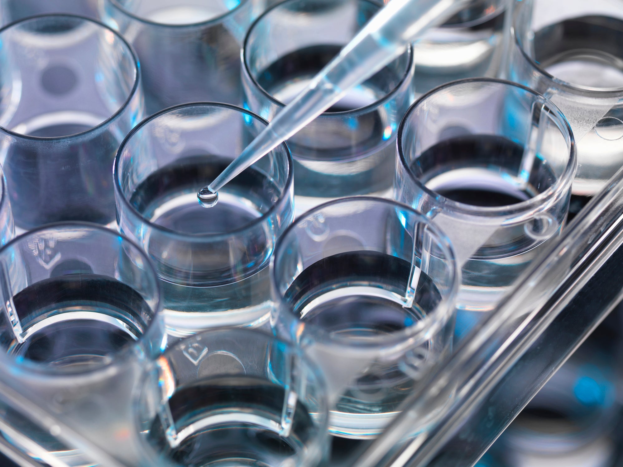 stem cells aging tissue regeneration