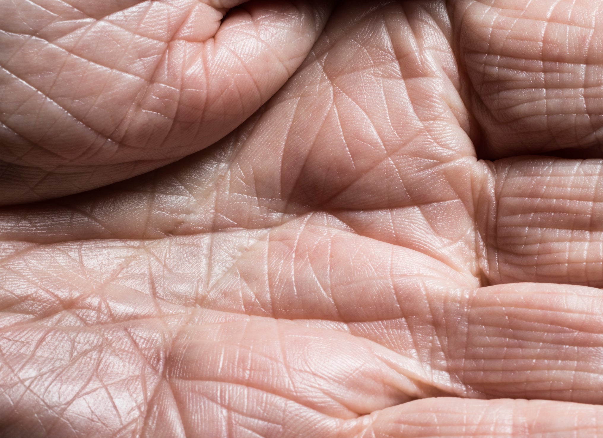 human lifespan