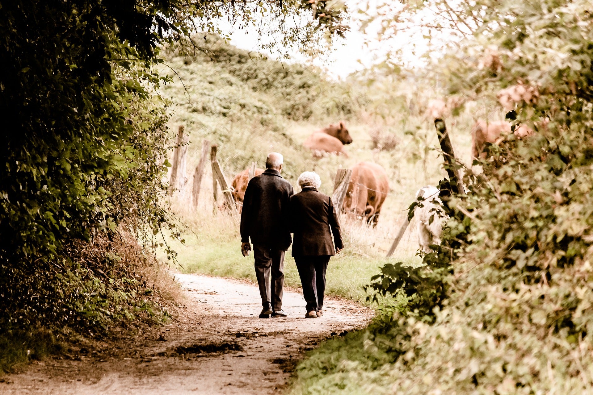 ageing cognitive decline vegetables diet dementia