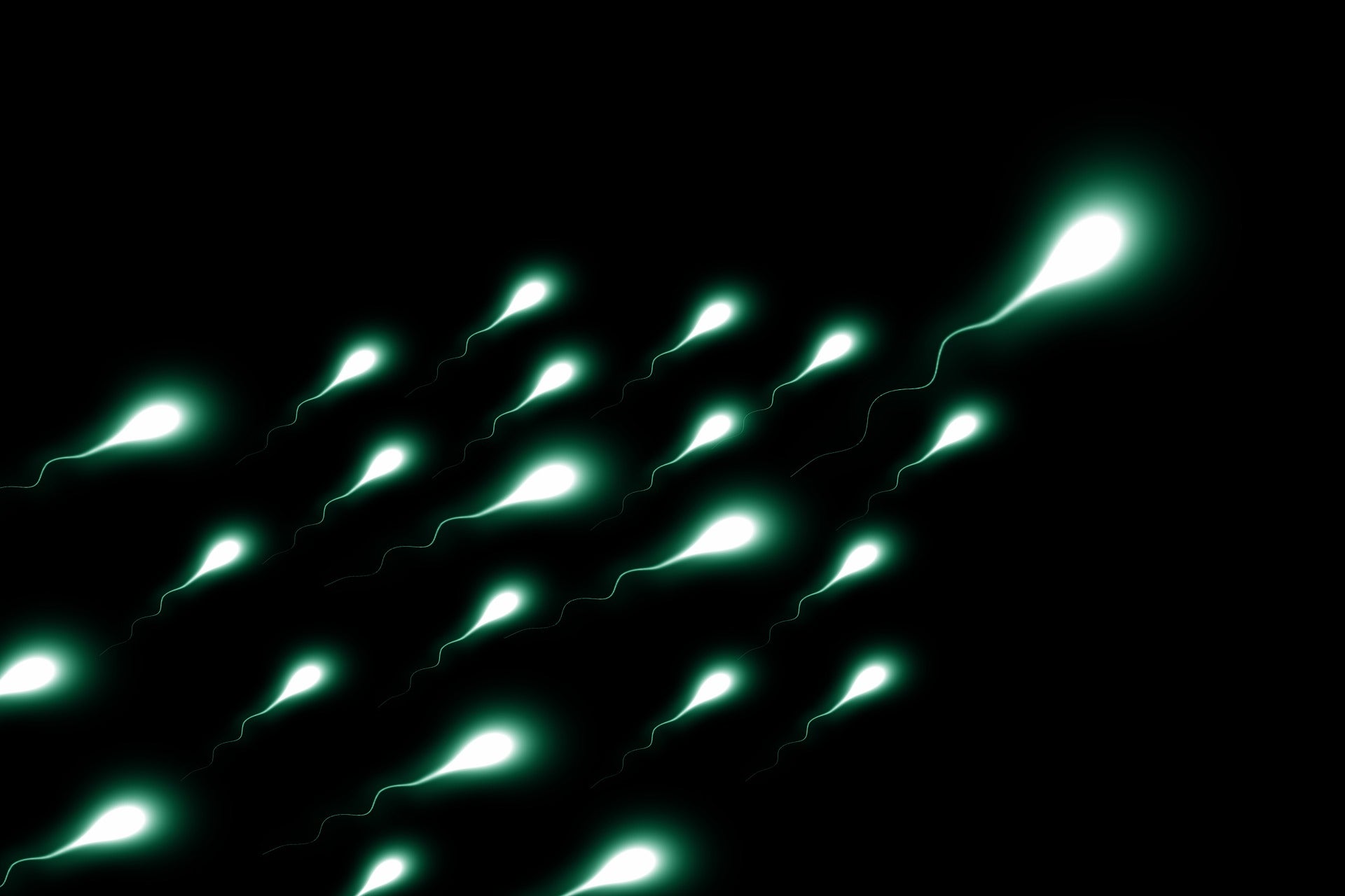 birth control contraceptive gel male birth control
