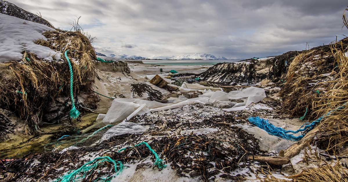 plastic pollution environment ocean pollution plastic straws eu