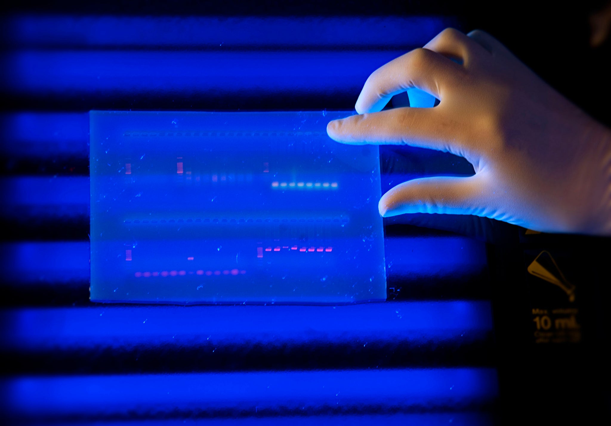 Research into the genome continually uncovers things we don't know.