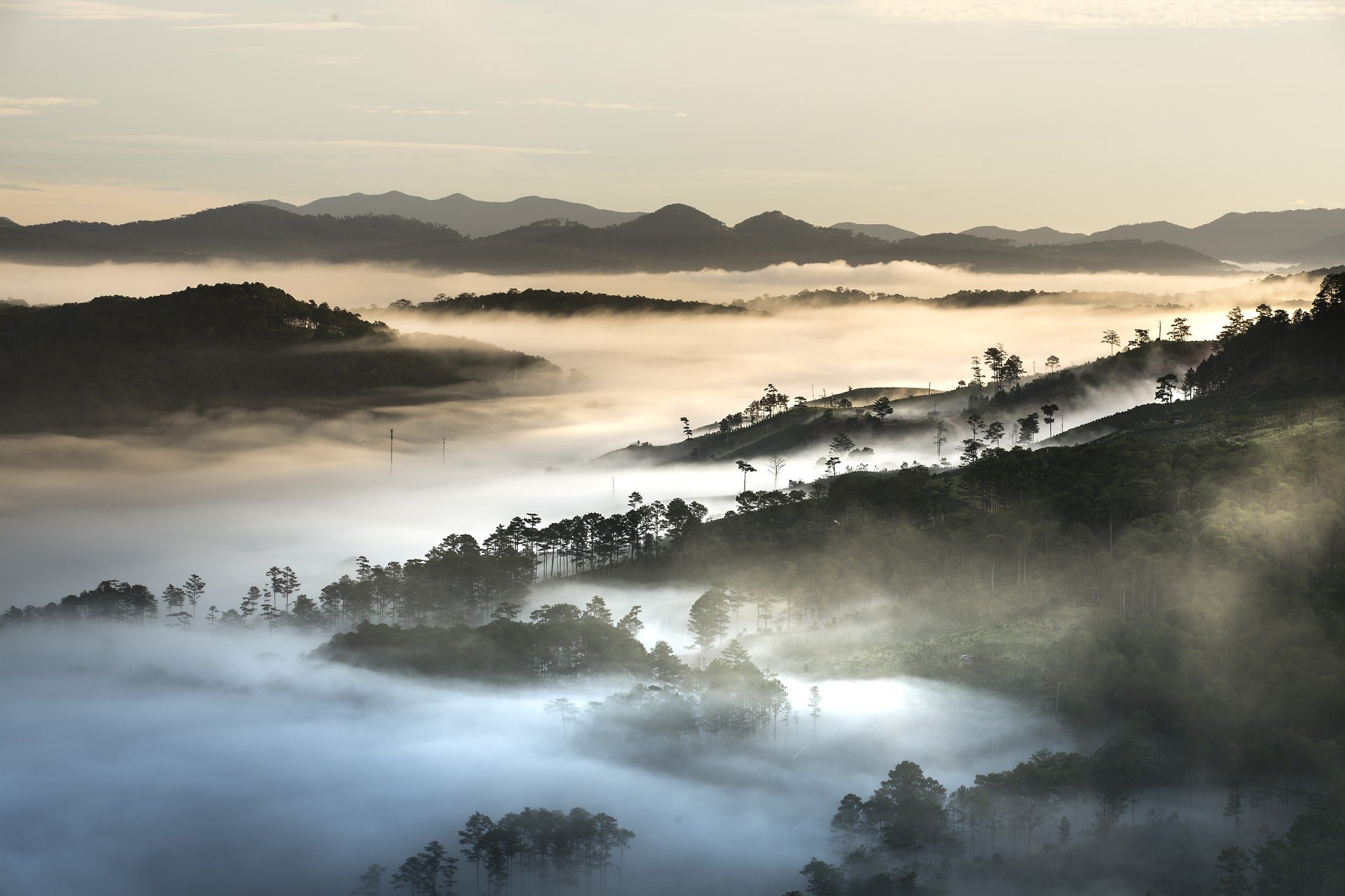 cloud forest rainforest climate change clouds