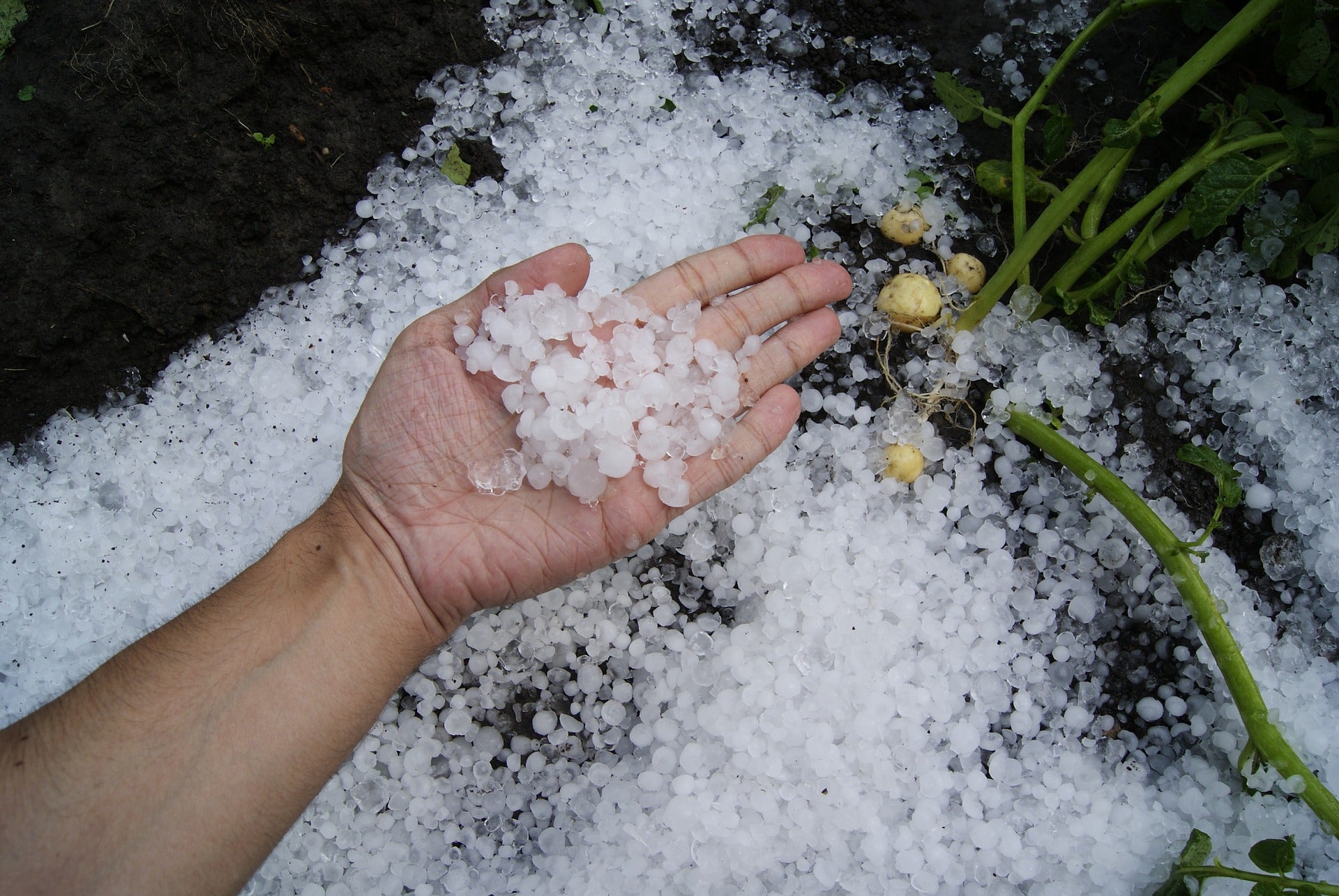 hailstorms hailstones global wind oscillation weather