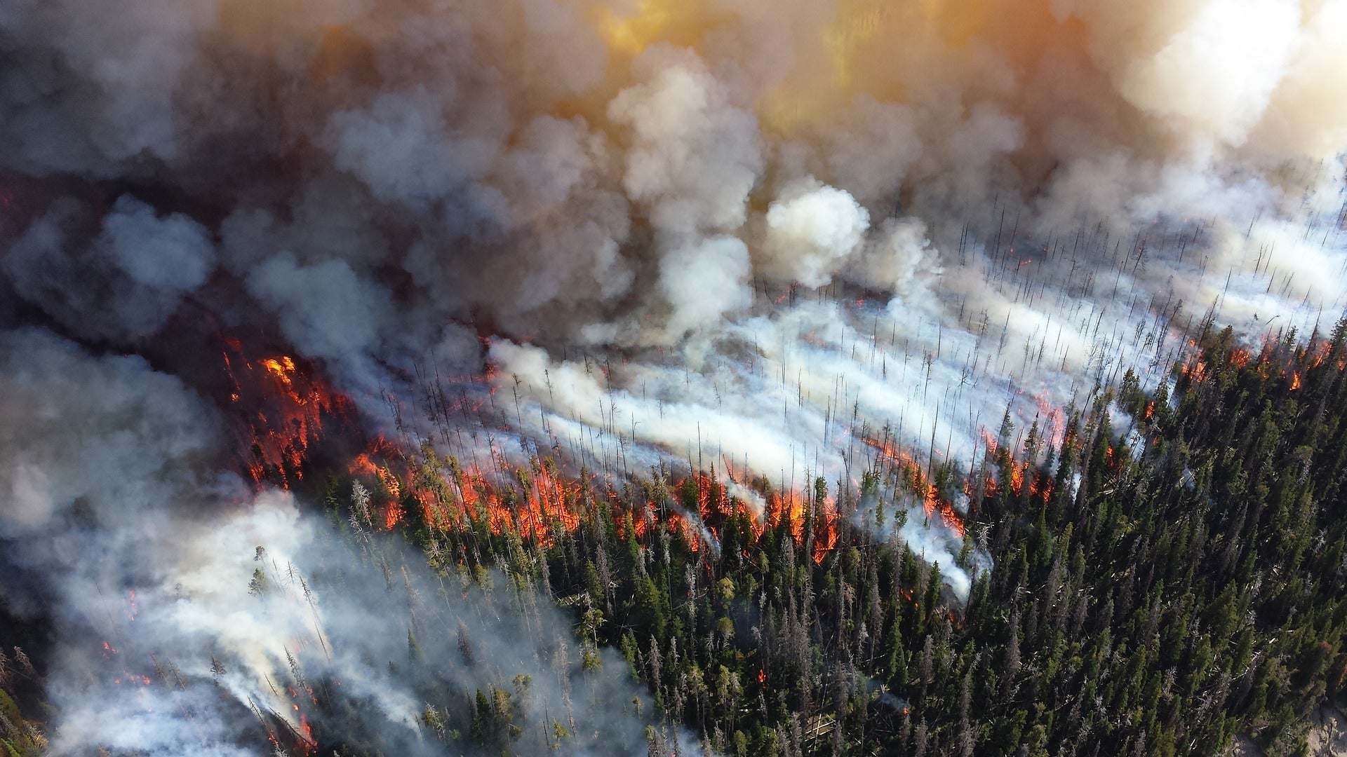 global warming rising temperatures climate change el nino