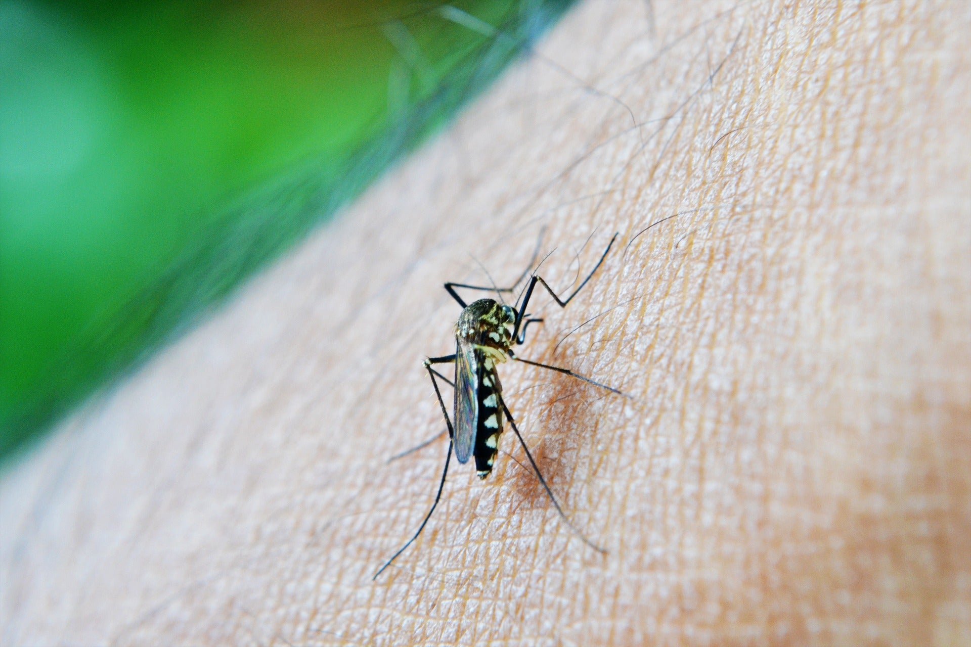 medical ai drug development malaria