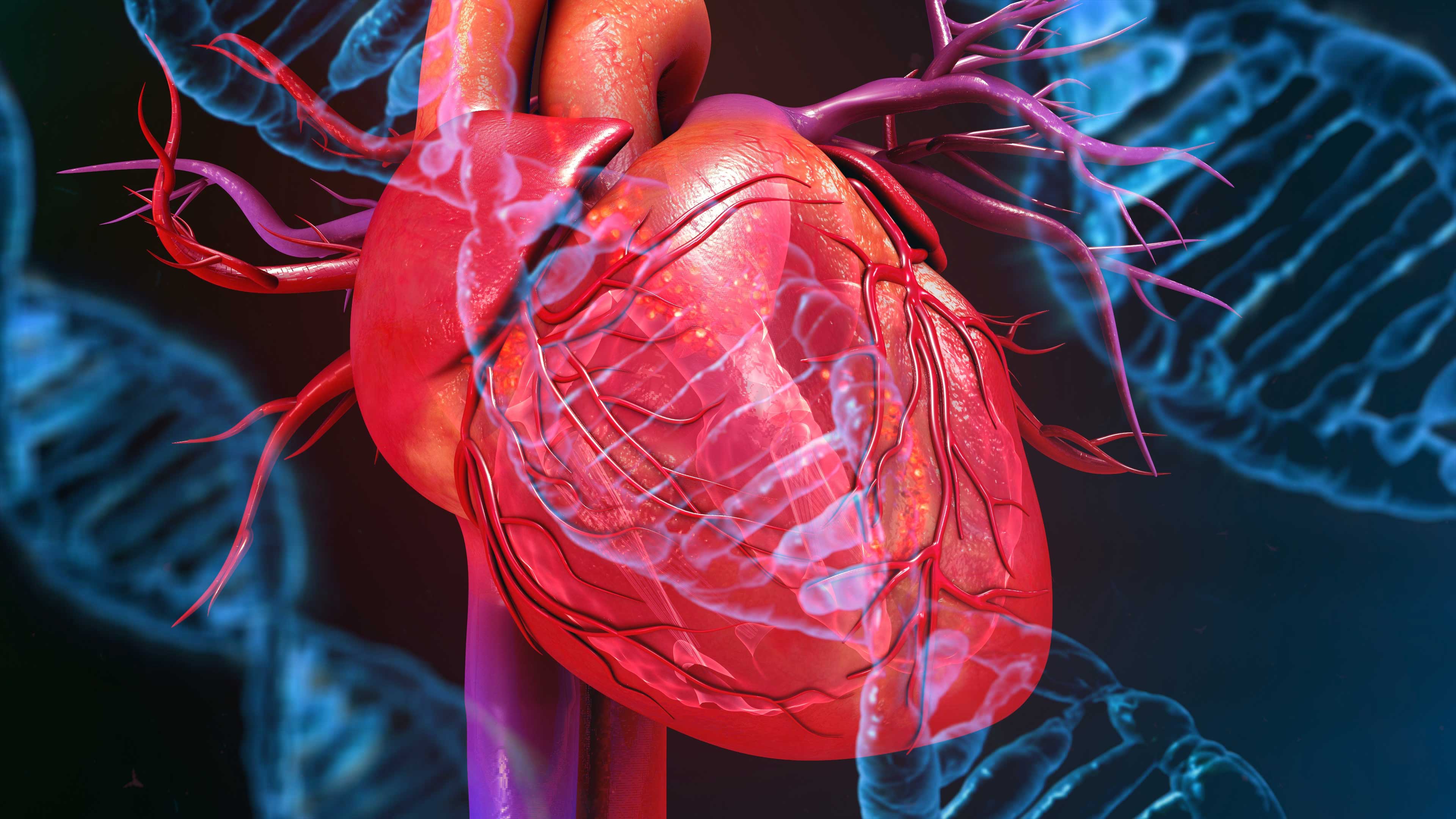 heart disease