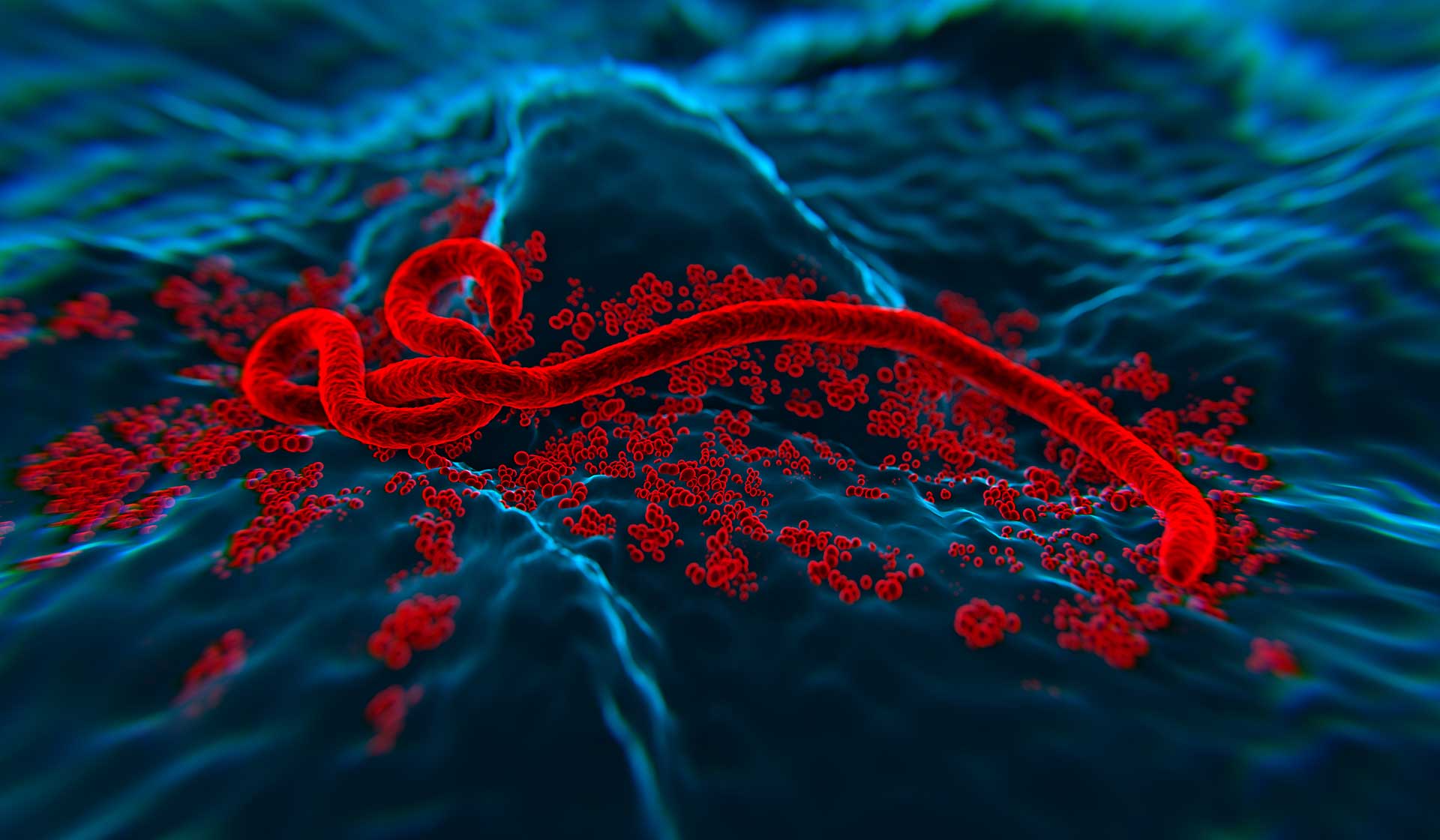 global pandemic