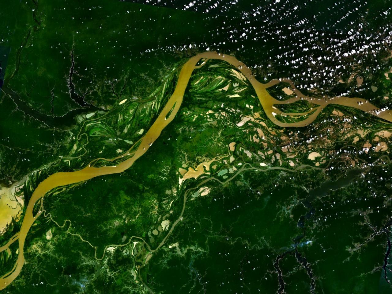 amazon rainforest deforestation climate change